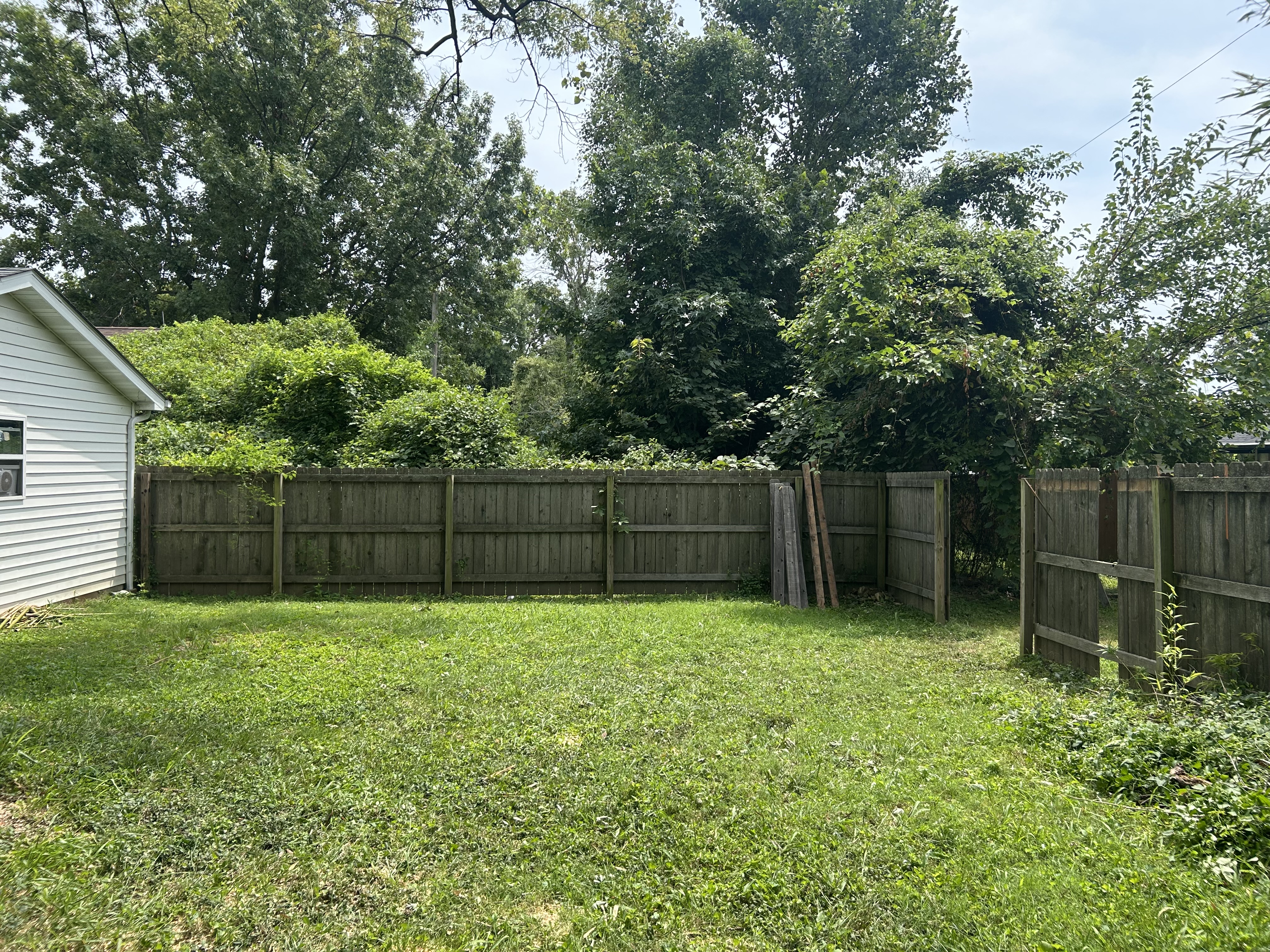  for Stinger Tree Service in Belleville, IL