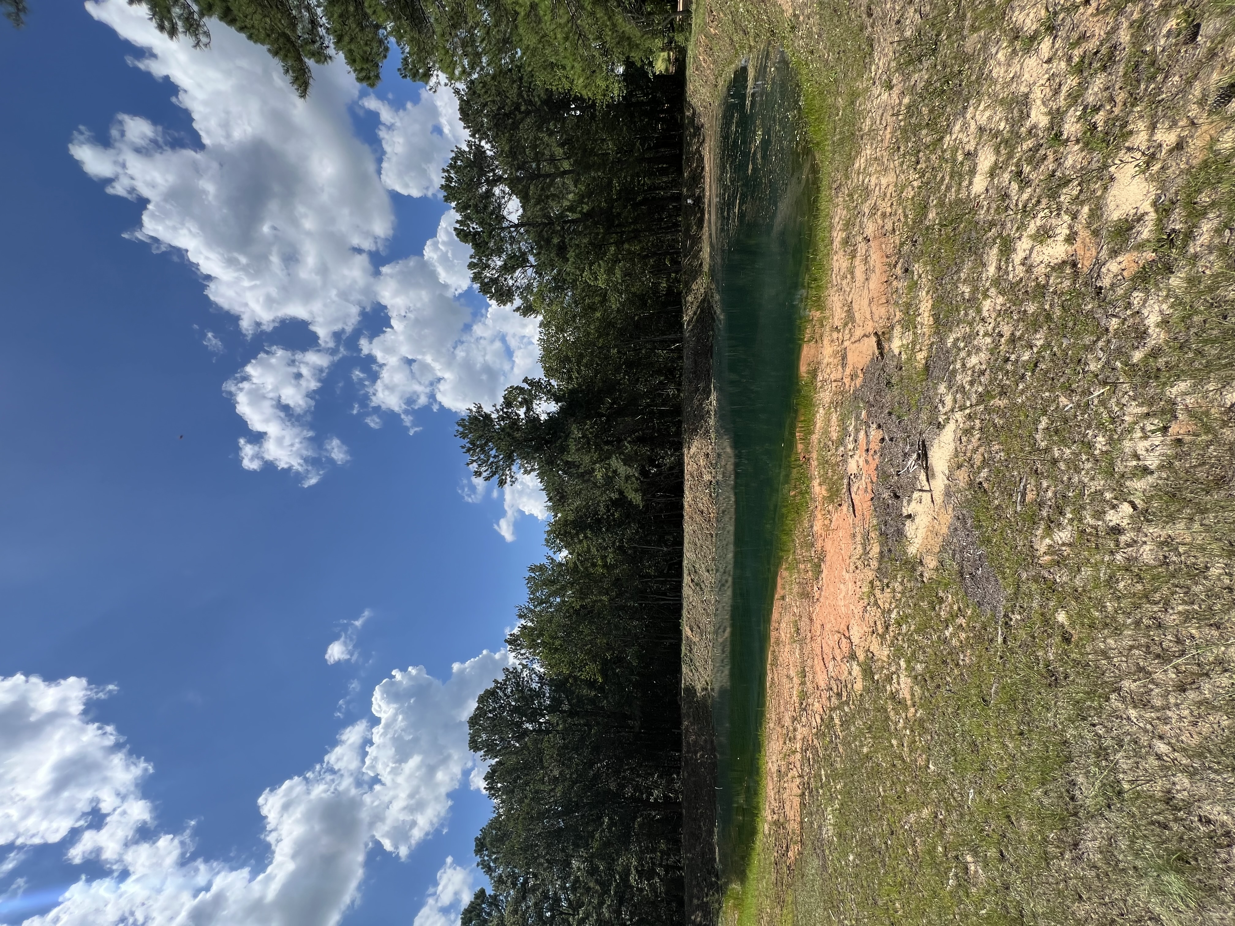  for Bay Hill Development in Nahunta, GA