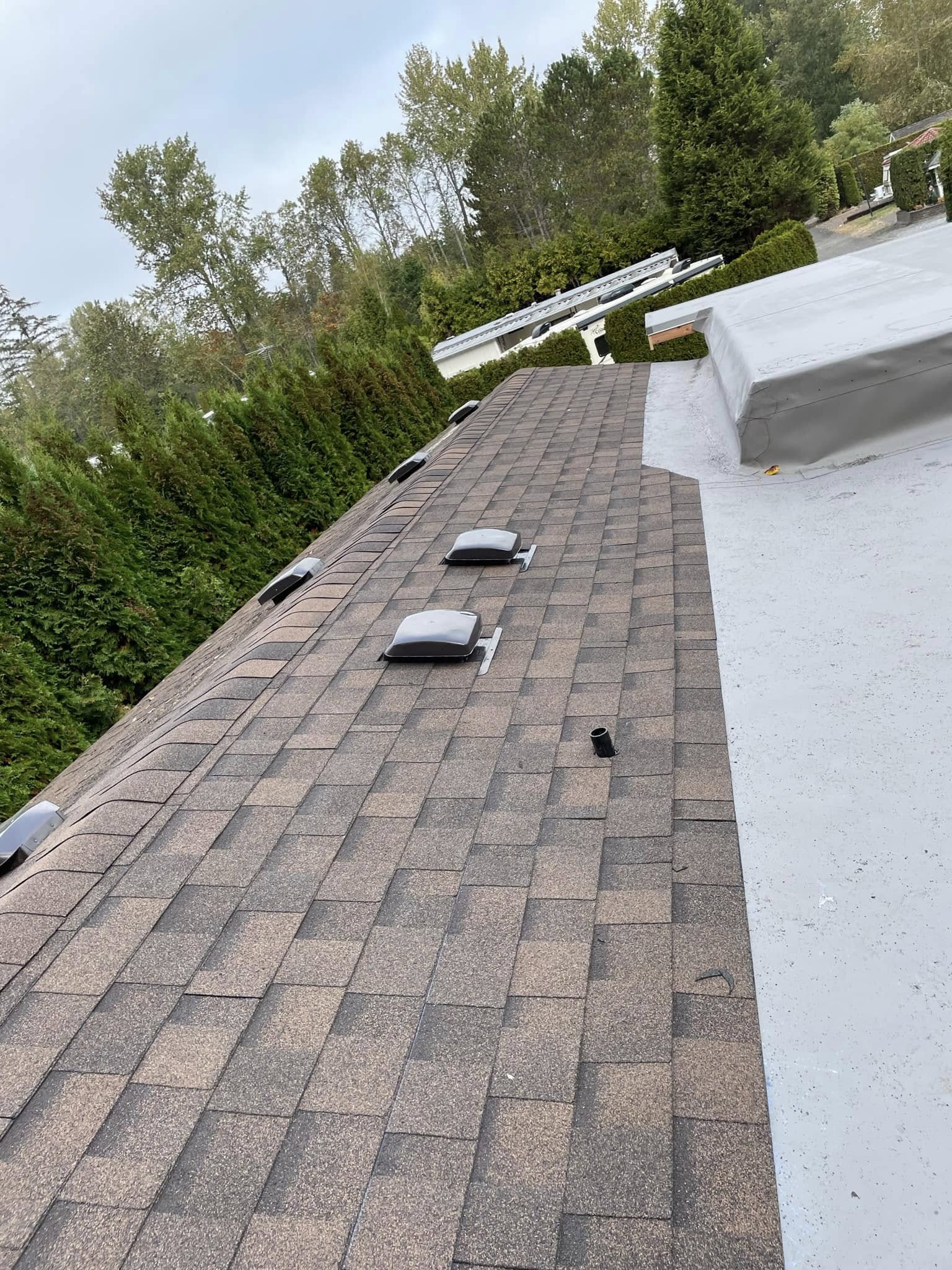  for ATJ Roofing LLC in Bellingham, WA