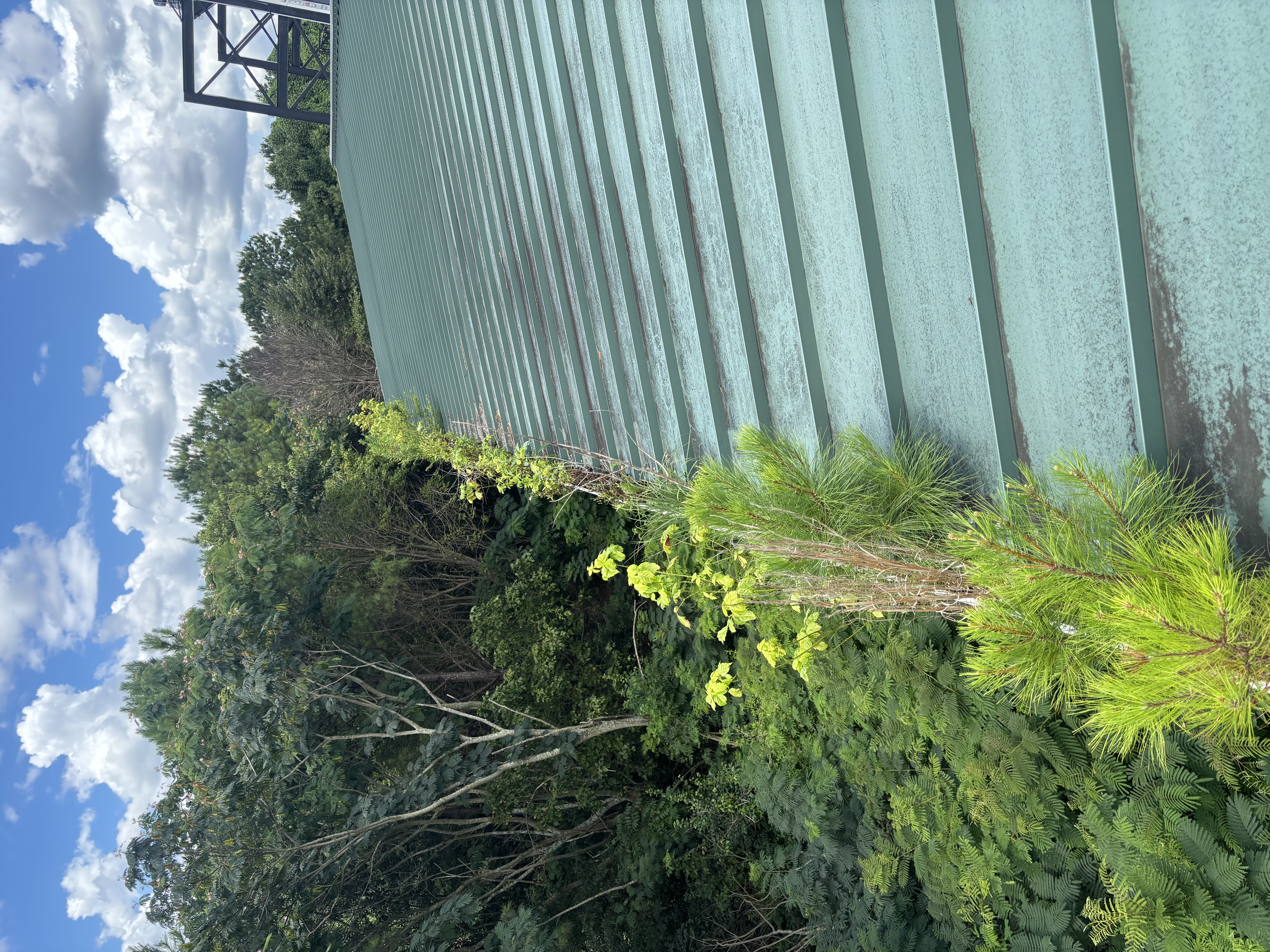  for American Pro in Rockmart, GA