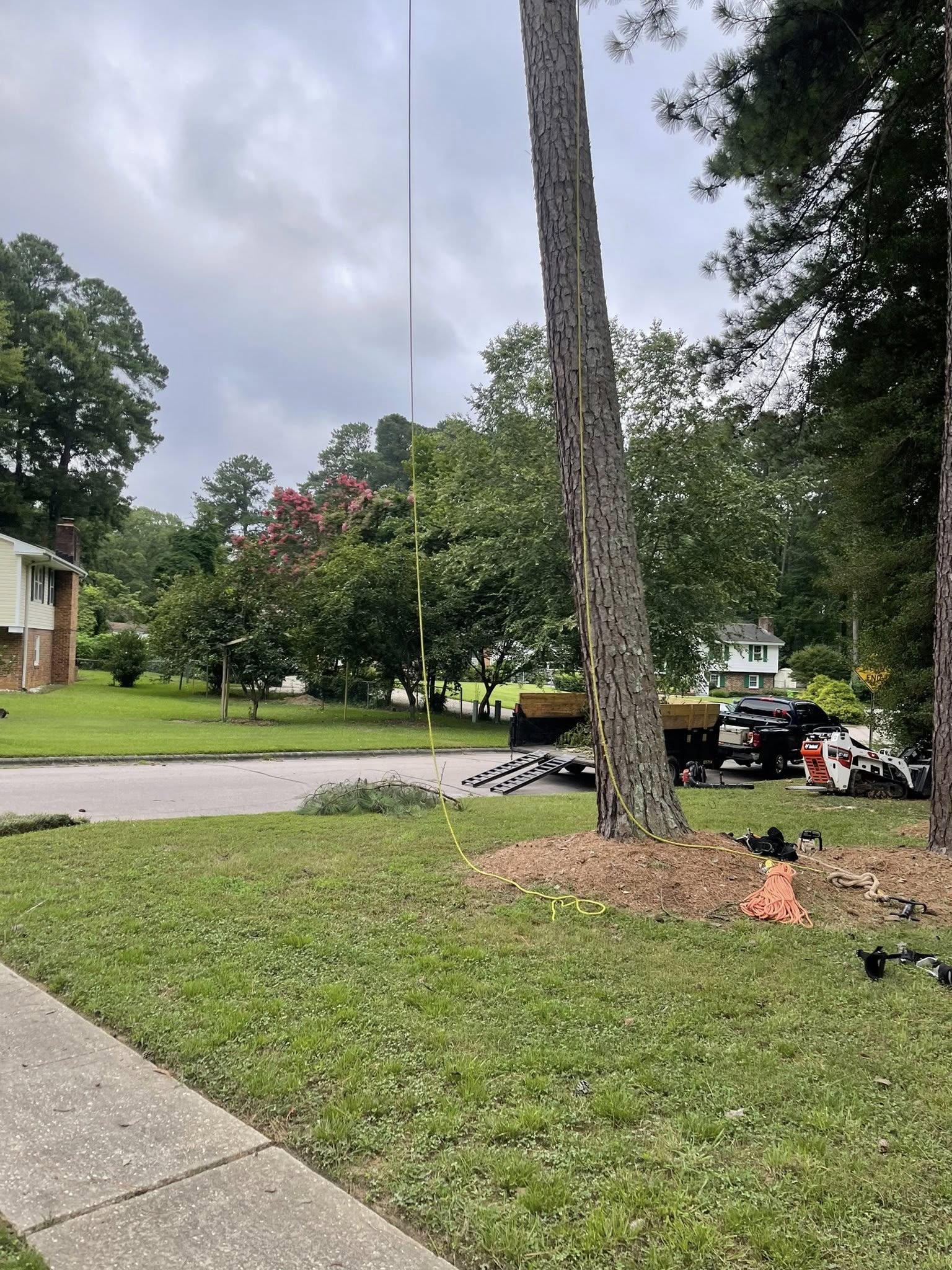  for J&J Tree Services in Raleigh, NC