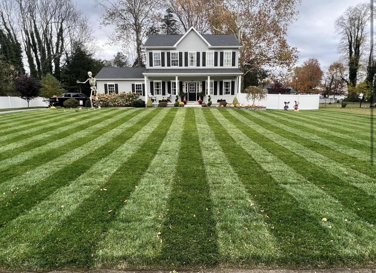 Landscaping company Bega Landscape Services in Atlanta, Georgia