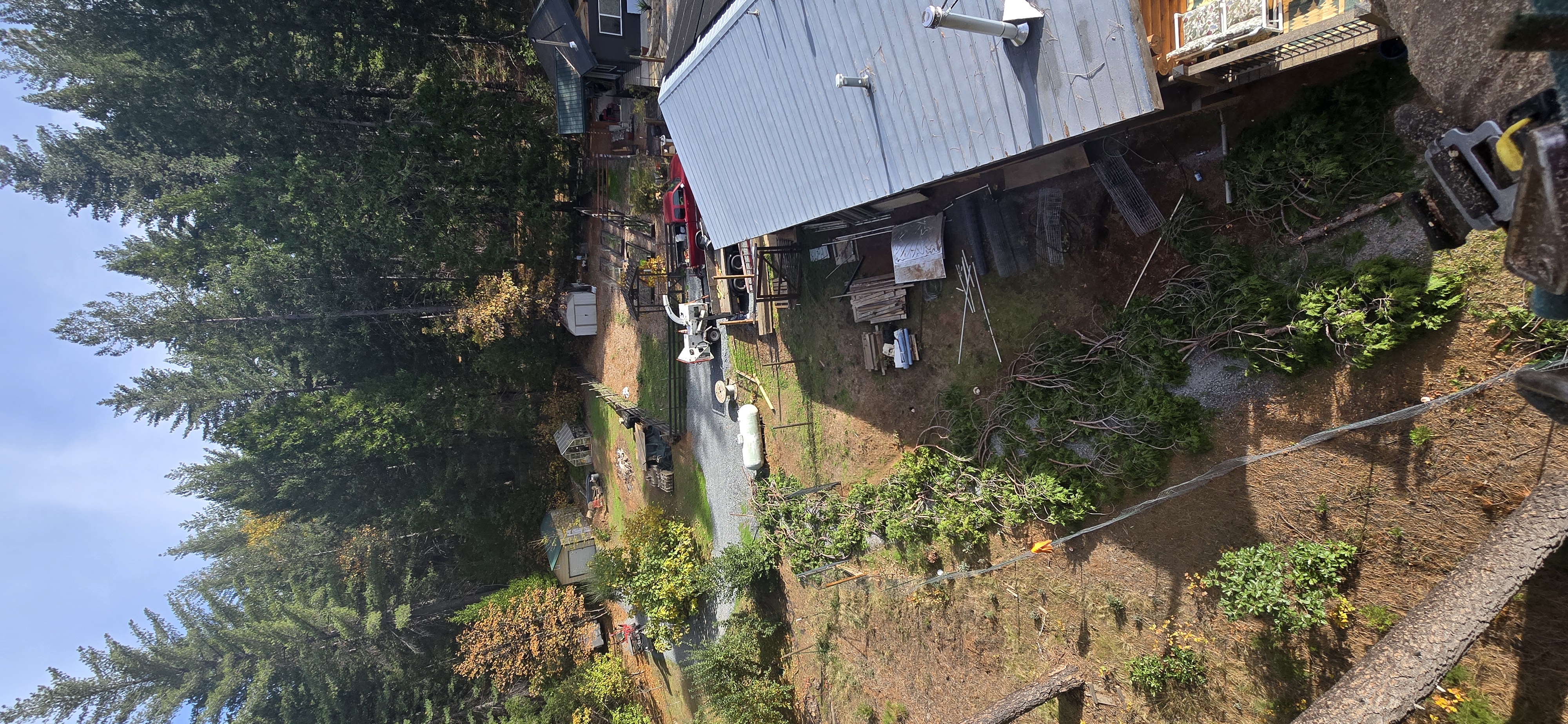  for George Staddan's Professional Tree Care in Placerville, CA