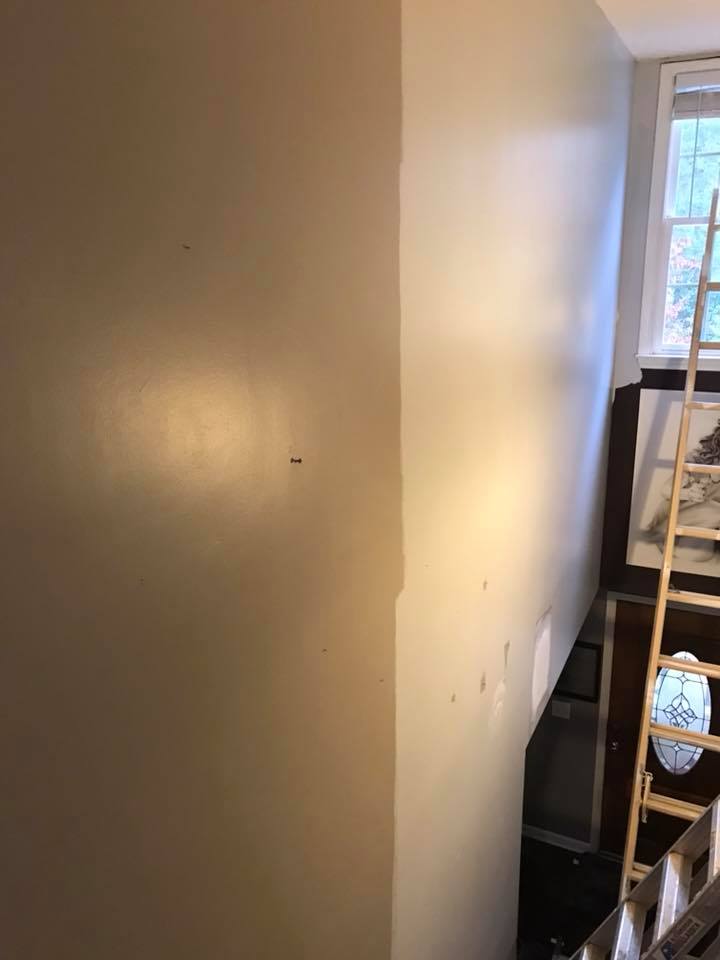  for Susan's Painting in Greensboro, NC