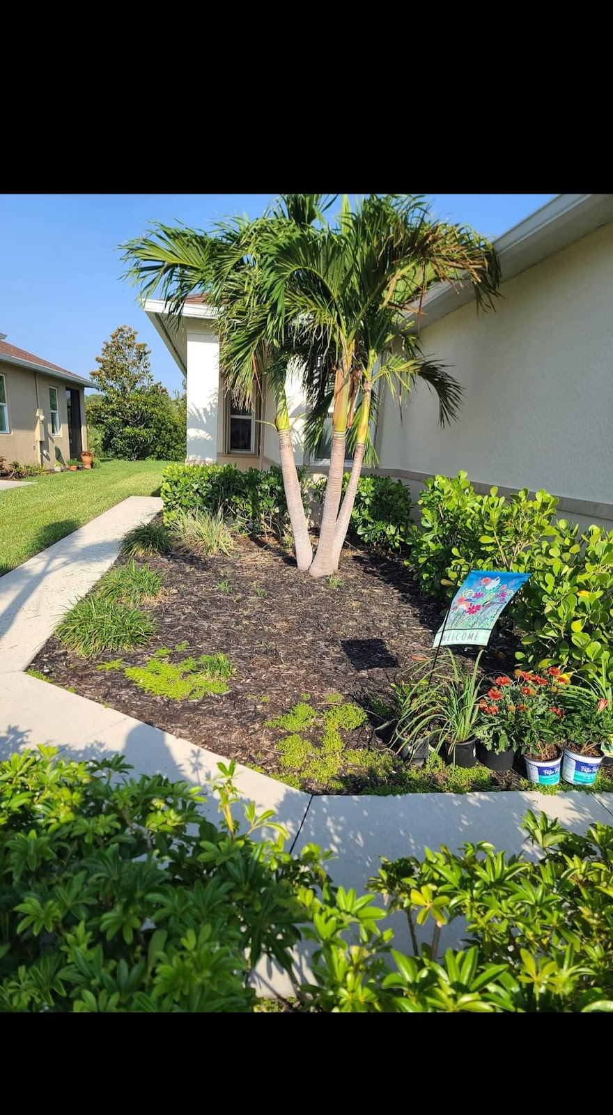 for Advanced Landscaping Solutions LLC in Fort Myers, FL