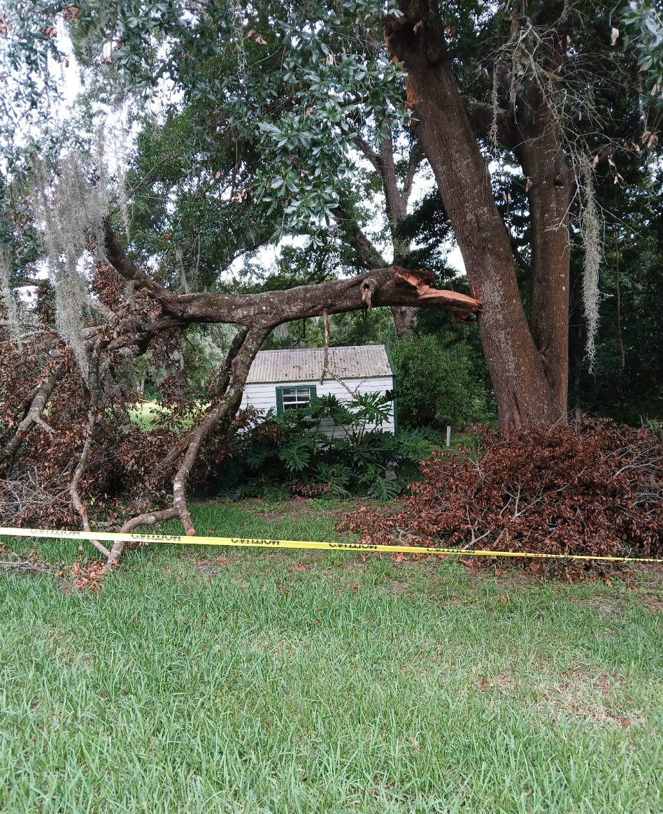  for Perfect Cut Lawn & Tree Care in Citrus Springs, FL