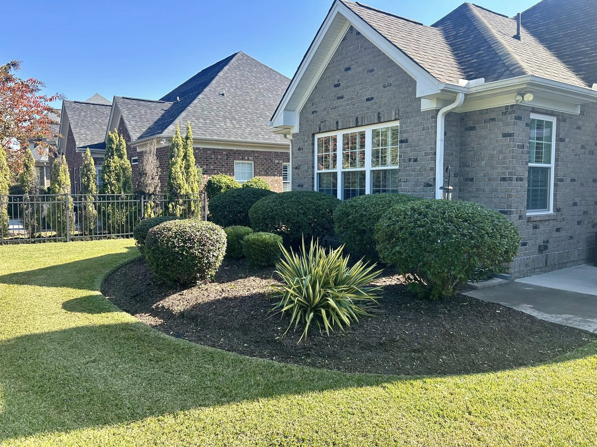  for New Creation Lawn and Landscape in Myrtle Beach, SC