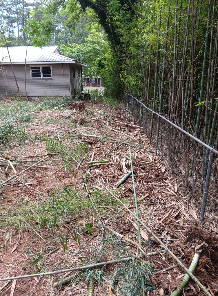  for Big C Land Management in Anniston, AL