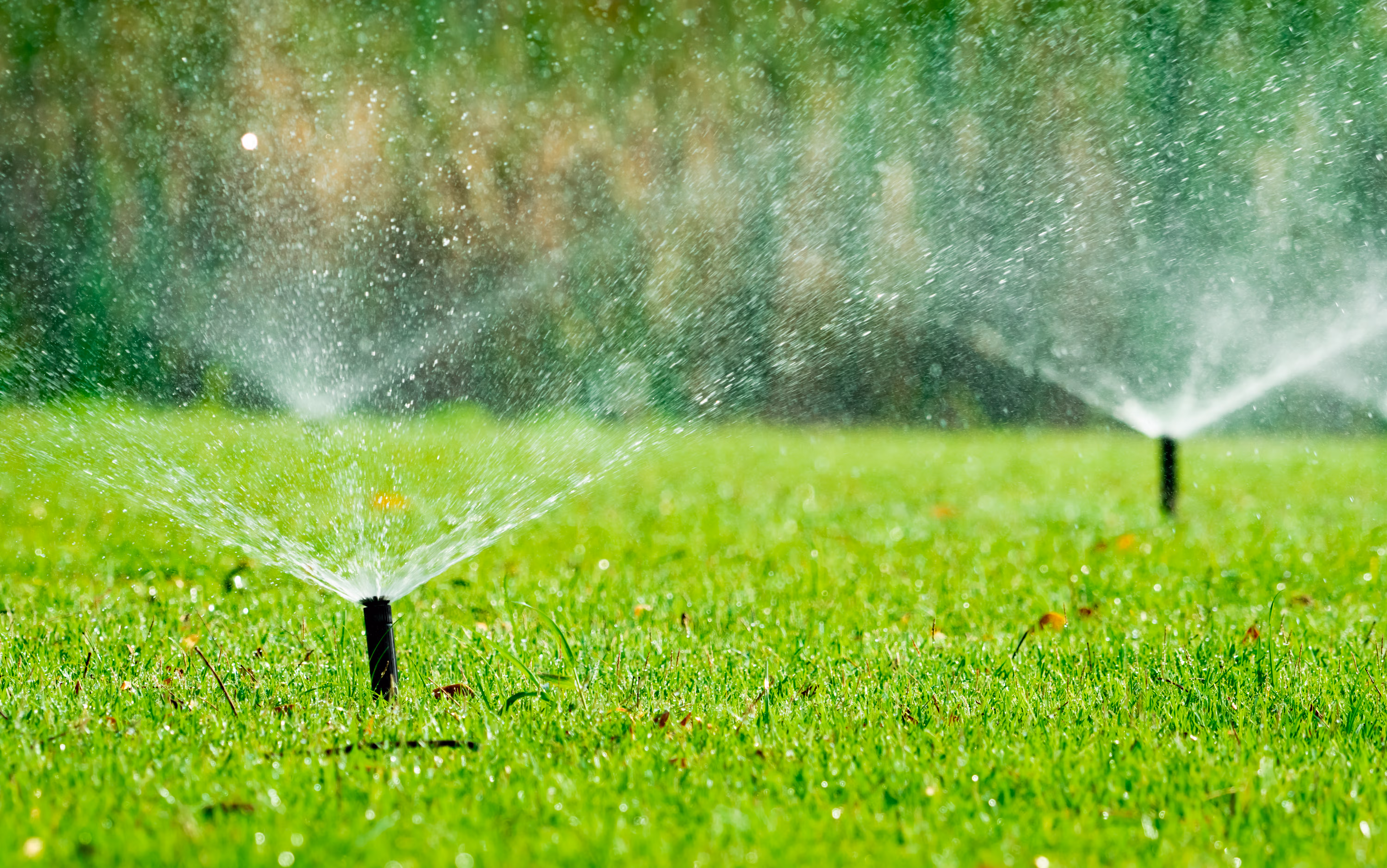 Irrigation System Installation