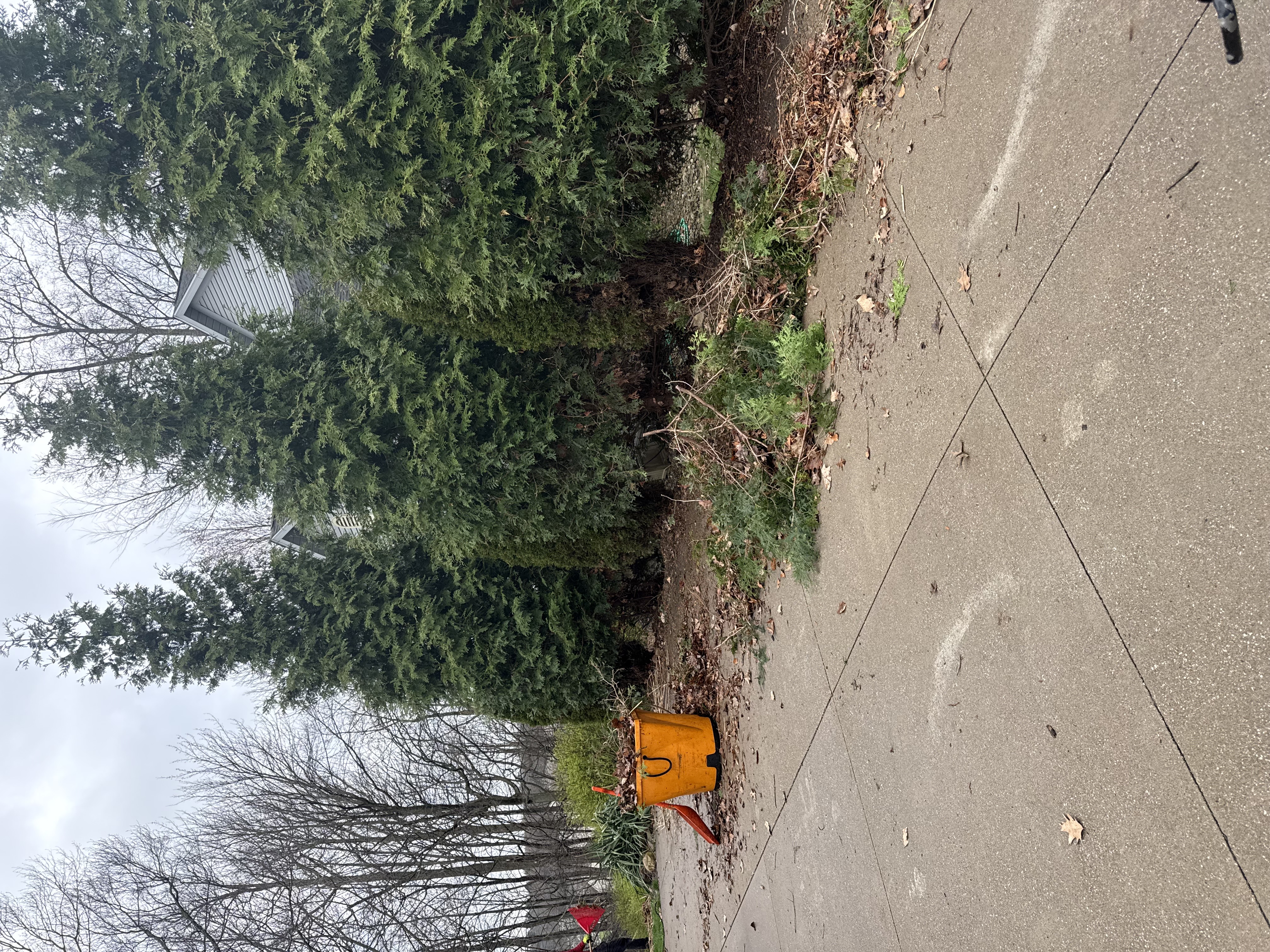  for Jenkins Landscaping & Property Management LLC in Clinton, OH