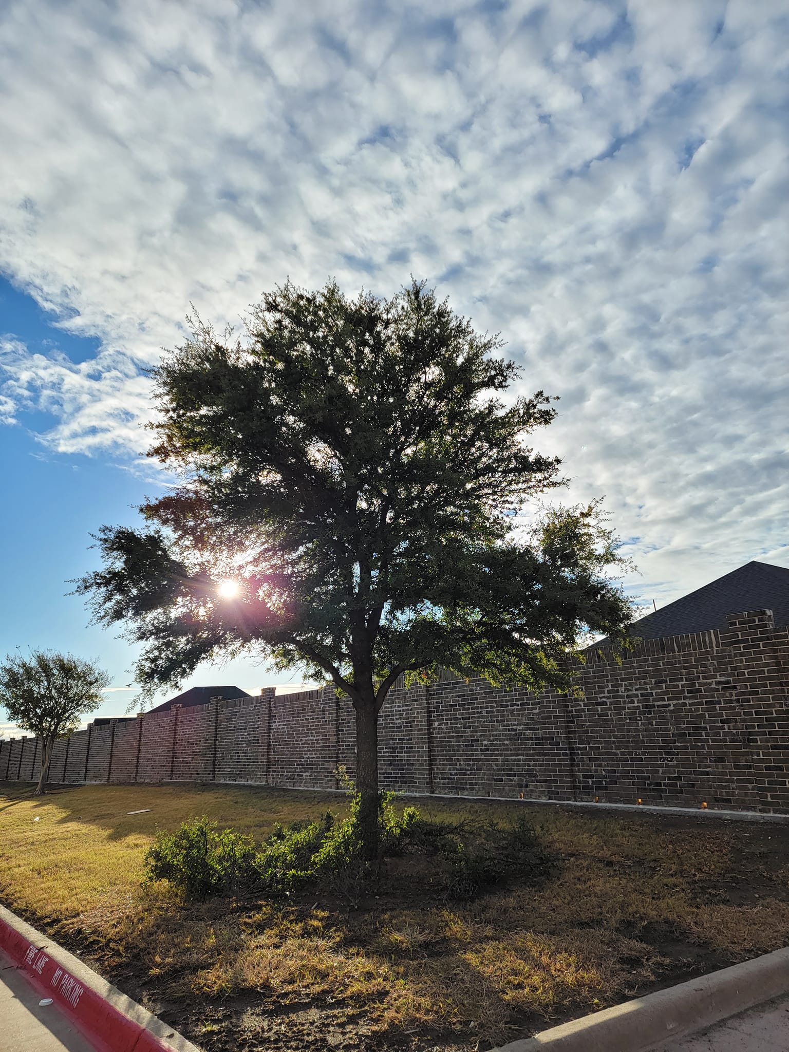  for RACSO RDZ LLC in McKinney, TX