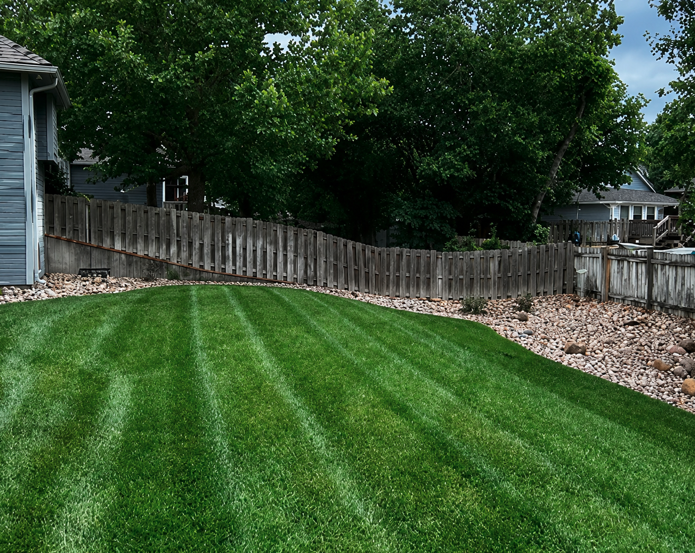 Lawn Seeding