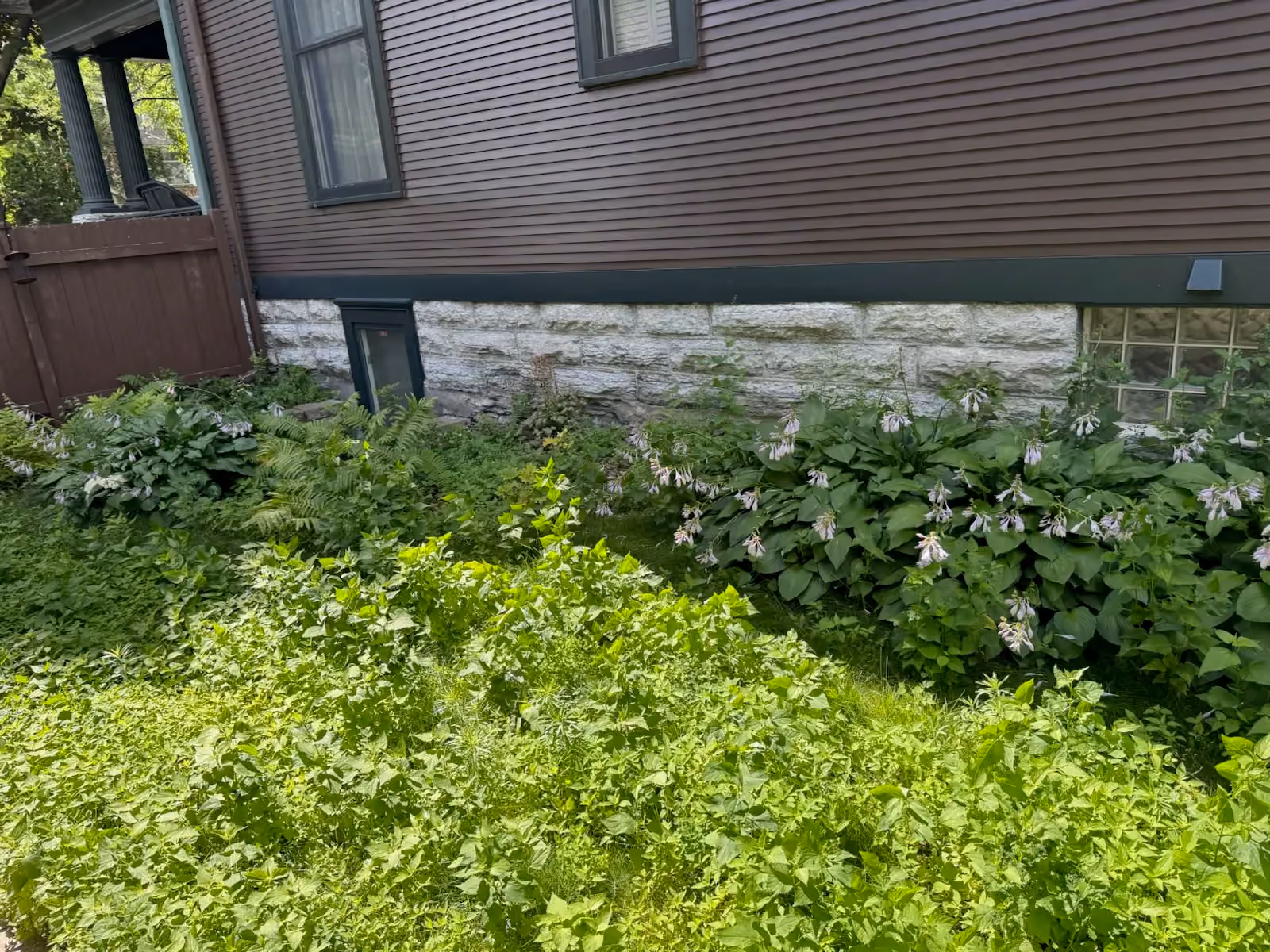Garden Transformation Success in South Minneapolis