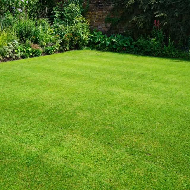 Shaffer Solutions team in Manchester, TN - people or person