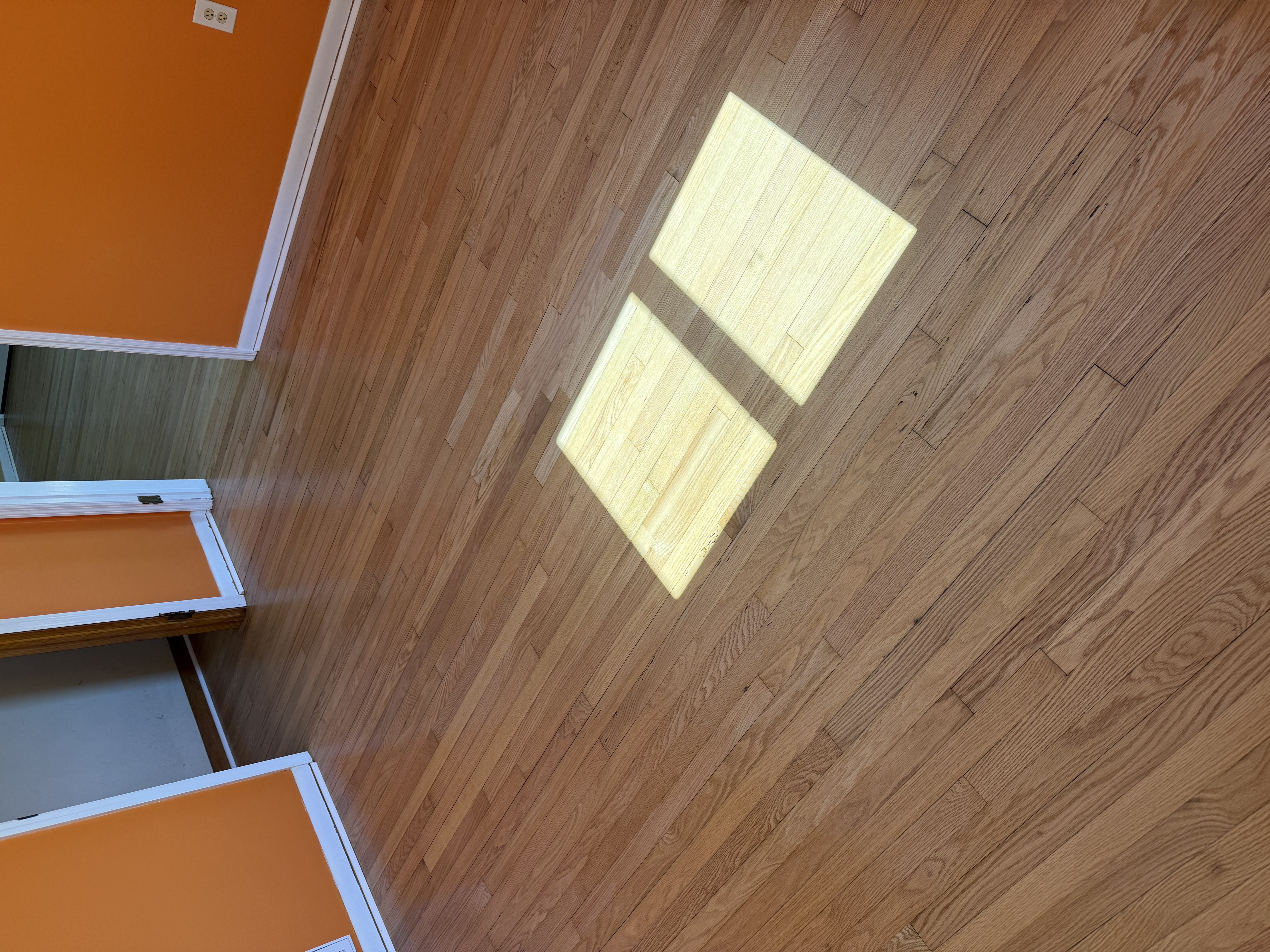  for Finely Finished LLC in Wyoming, DE