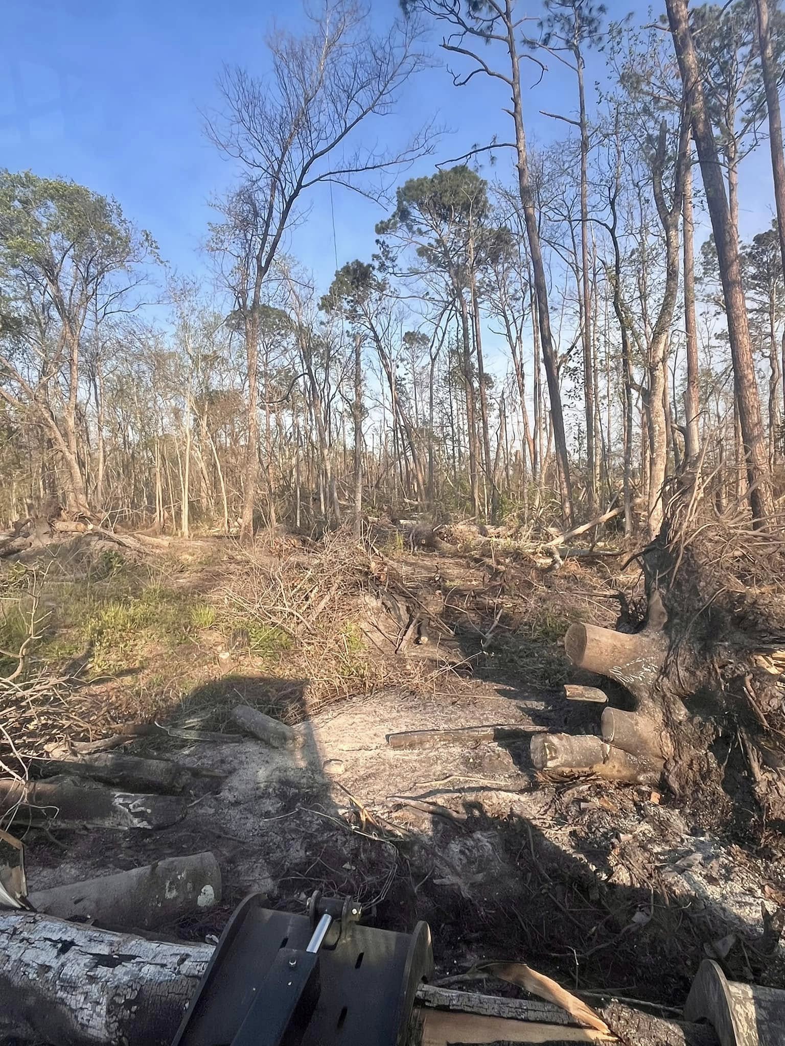  for Pinewood Land Management LLC in Nashville, GA