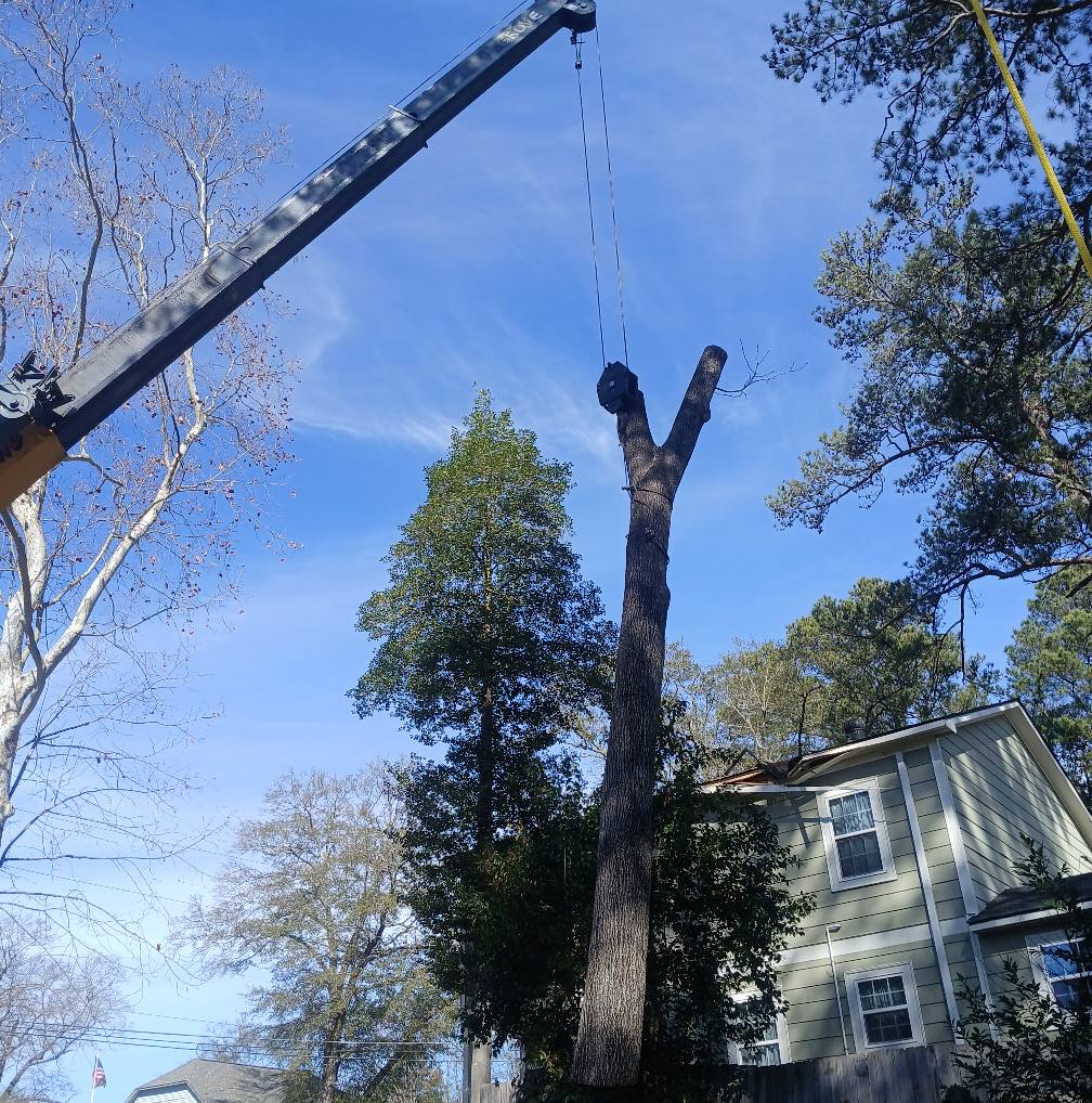tree service company Kingdom Riderz Hauling And Tree Service in Tar Heel, NC