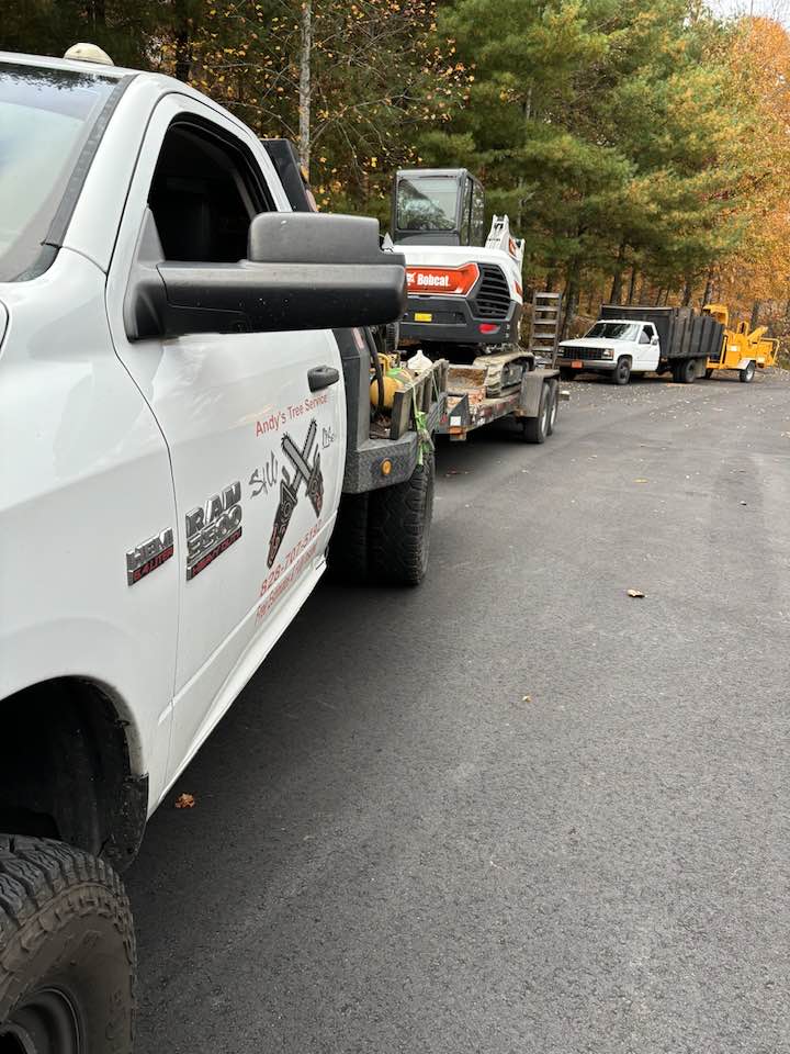  for Andy's Tree Service in Zirconia, NC