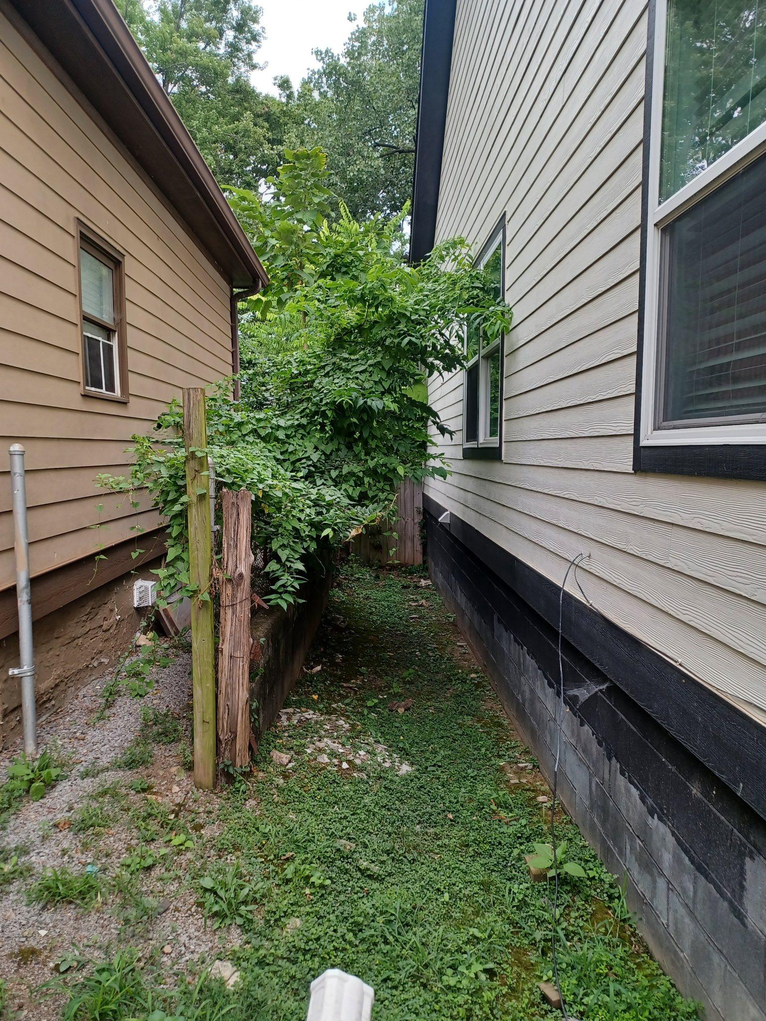  for Grass Management in Nashville, TN