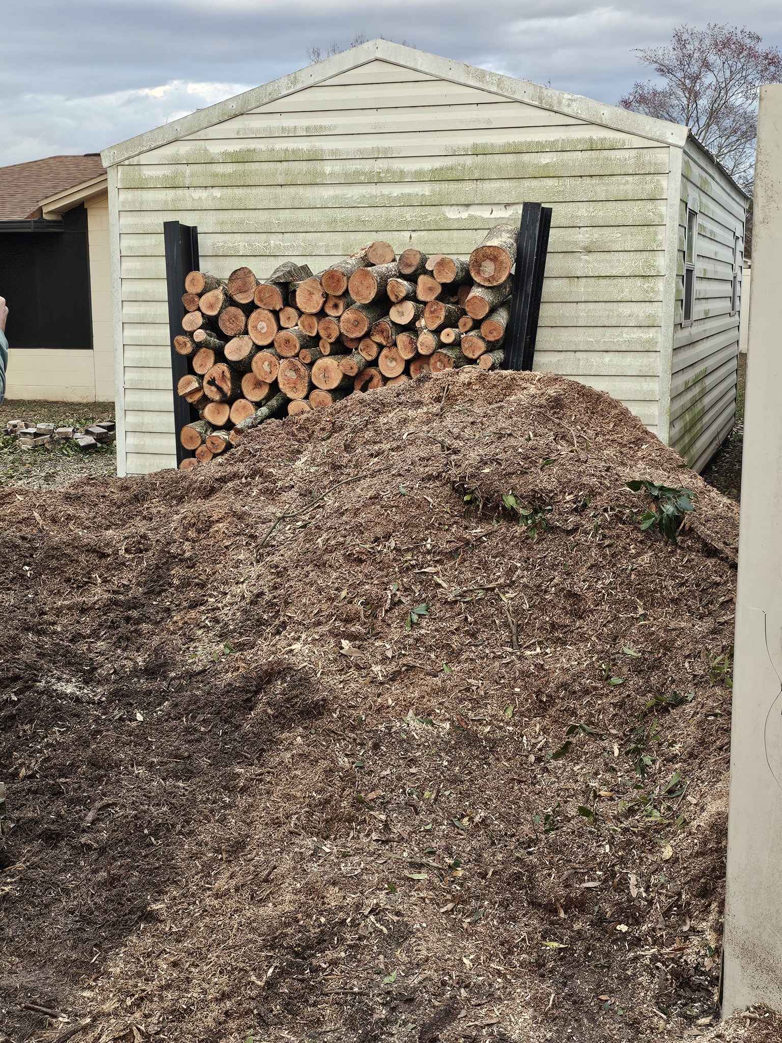  for Stumps done right LLC in Middleburg, FL