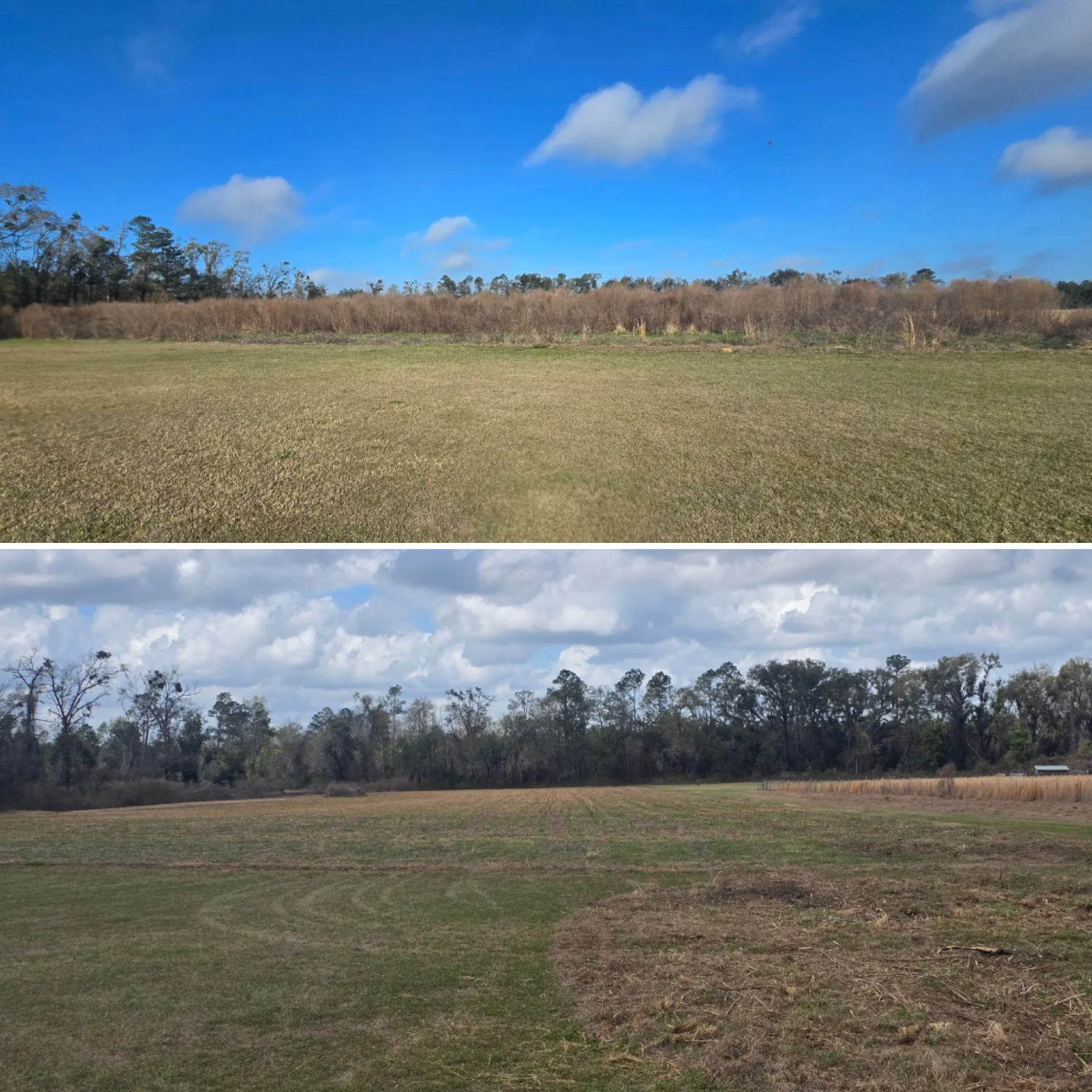  for Giles Land Management, LLC in Hahira, GA