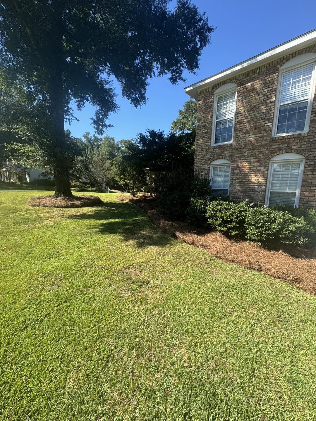  for Johnson Lawn Care in Mobile, AL