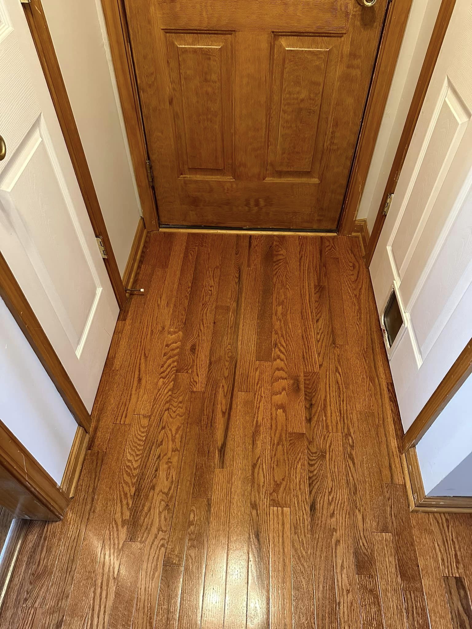  for Finnegan Flooring in Elkton, MD