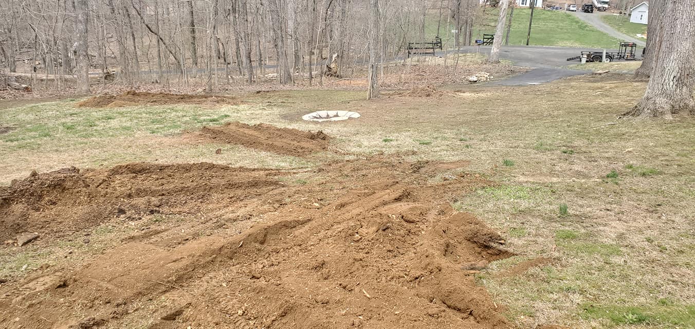 Tree Services company W D Giampa Lawns and Landscape Inc. in Manassas, VA