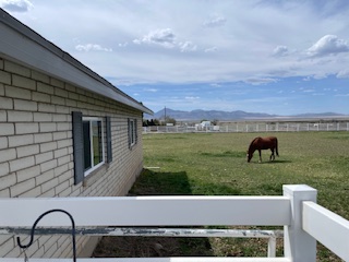  for Vivid Windows in Centerville, UT