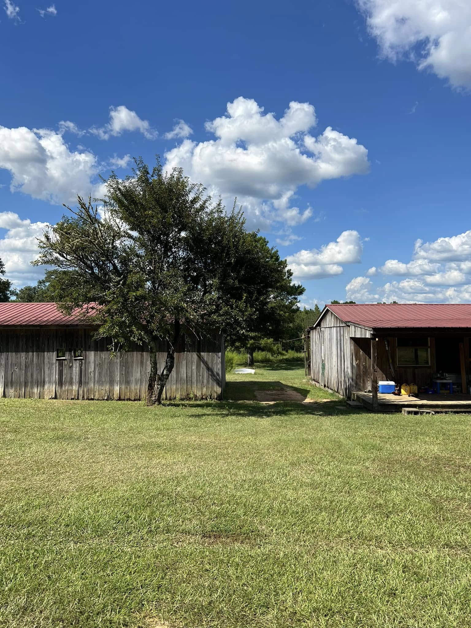  for T N L - Tree and Land Service in Reynolds, GA