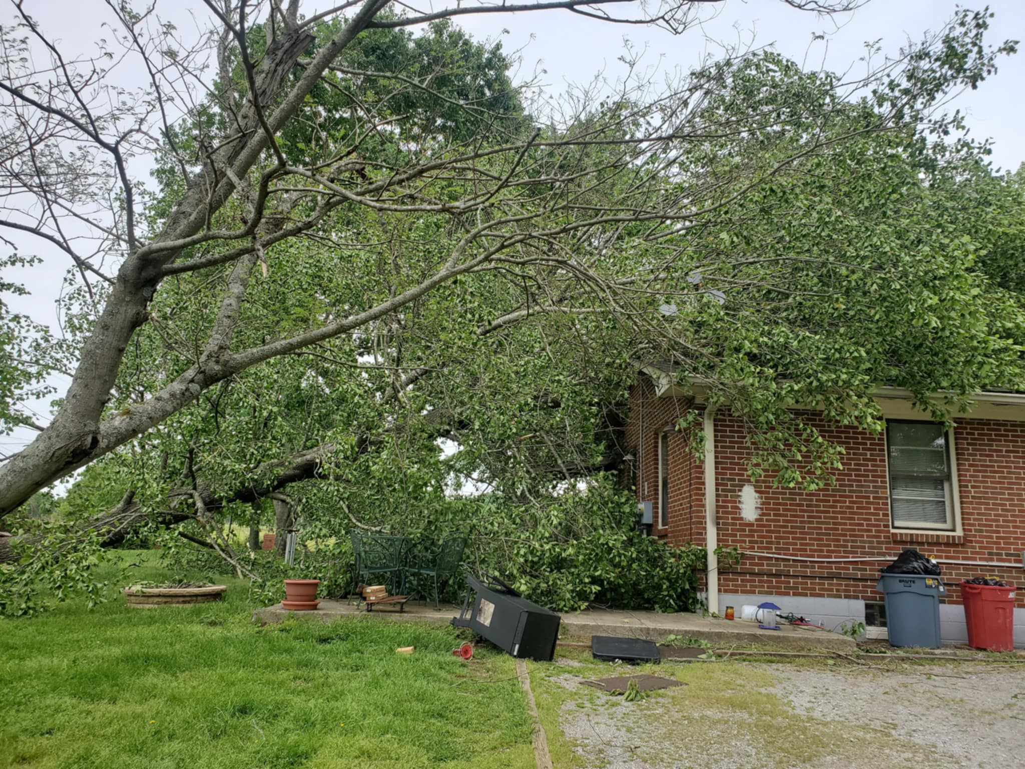 Jace’s Tree & Stump Removal team in Franklin, TN - people or person