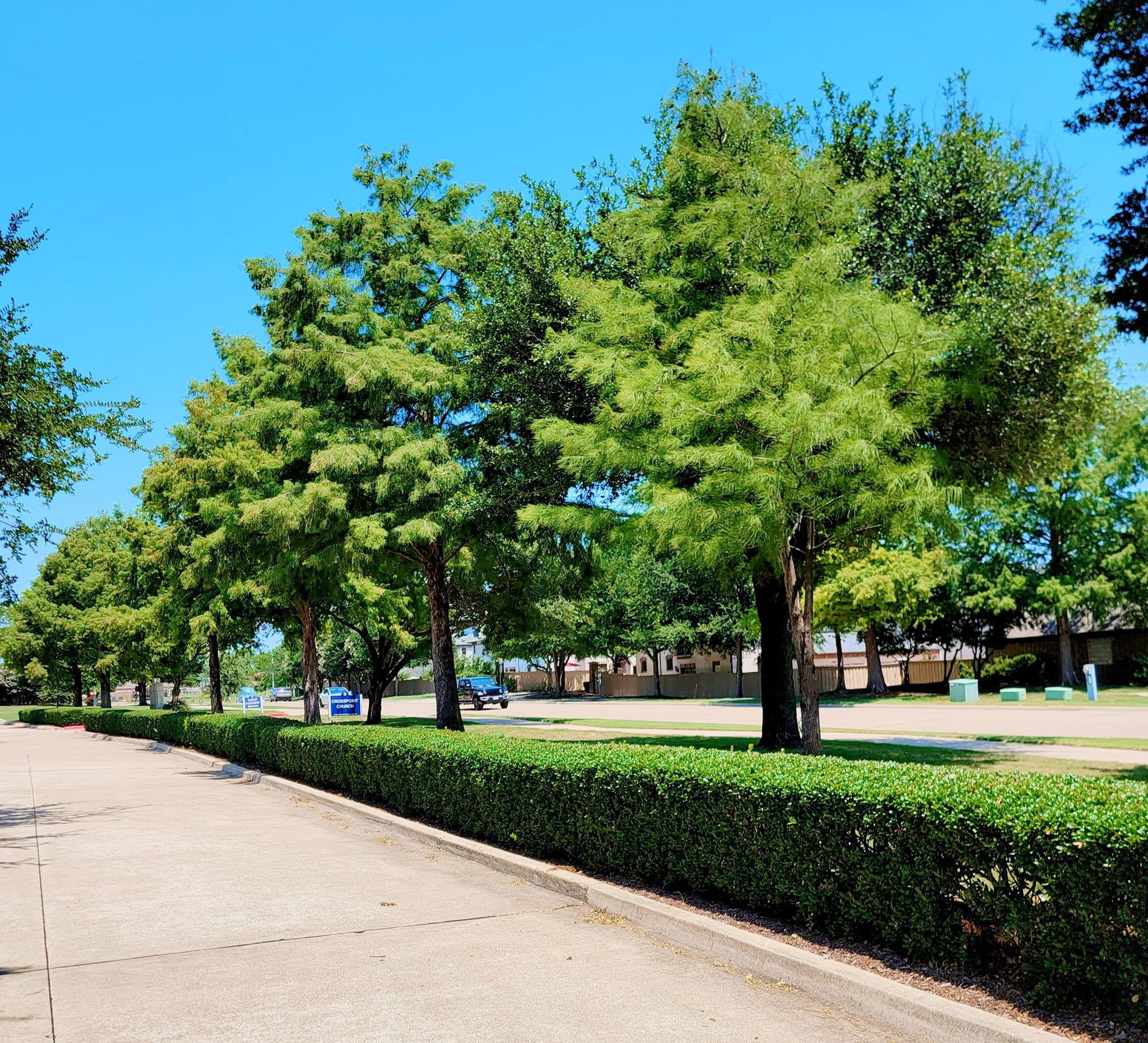  for RACSO RDZ LLC in McKinney, TX