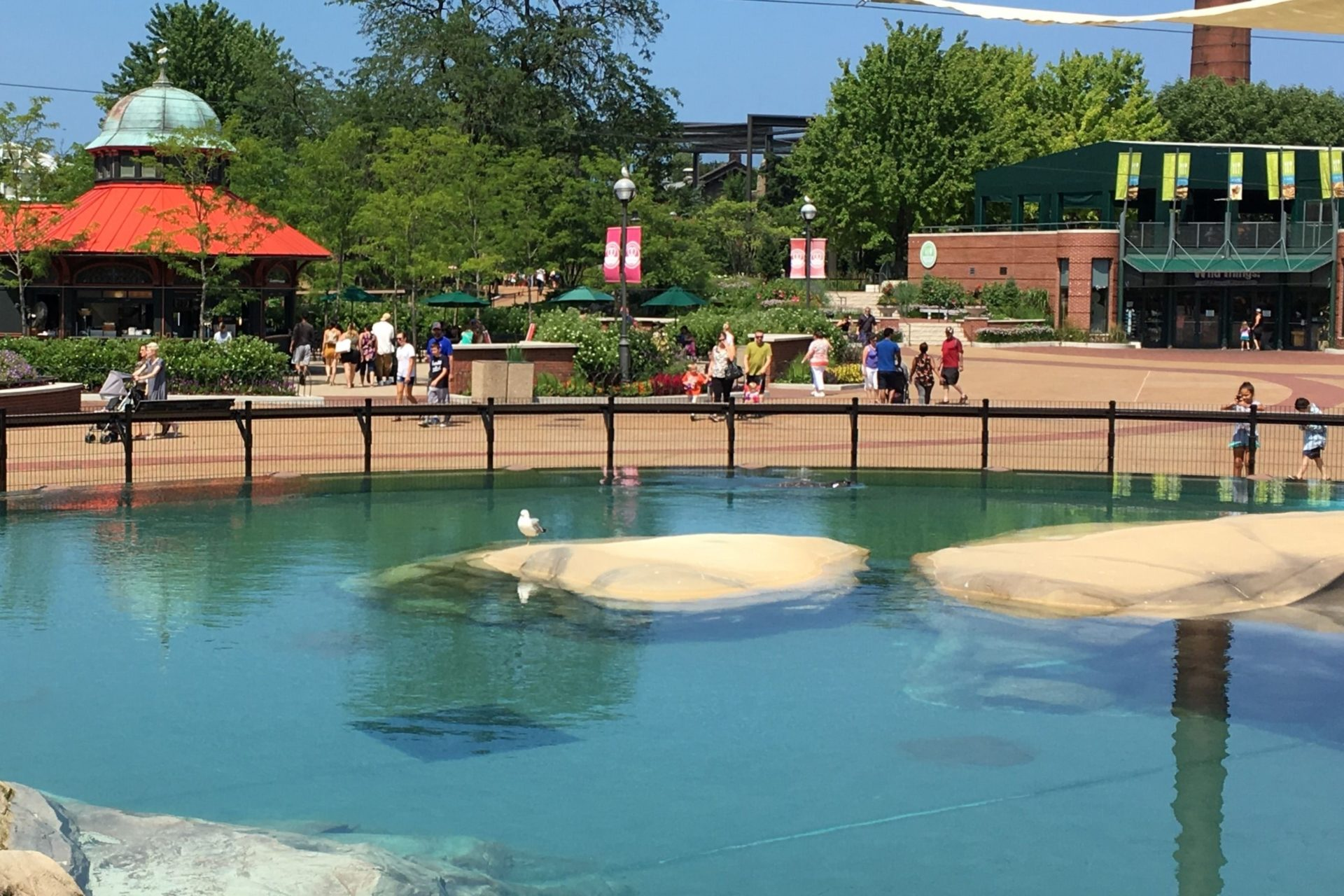 FAQ image