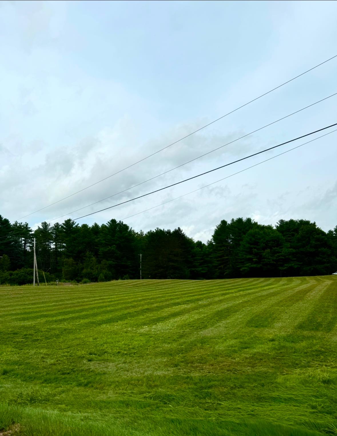 Landscaping and Excavation company Soil Builders LLC in West Durham, ME