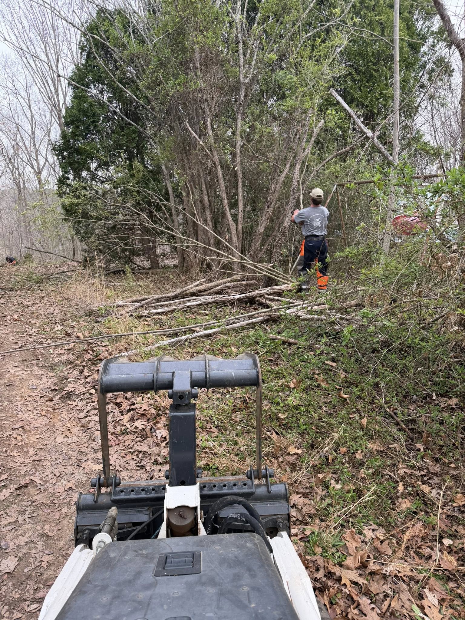  for Ramirez Tree Care in Elkin, NC