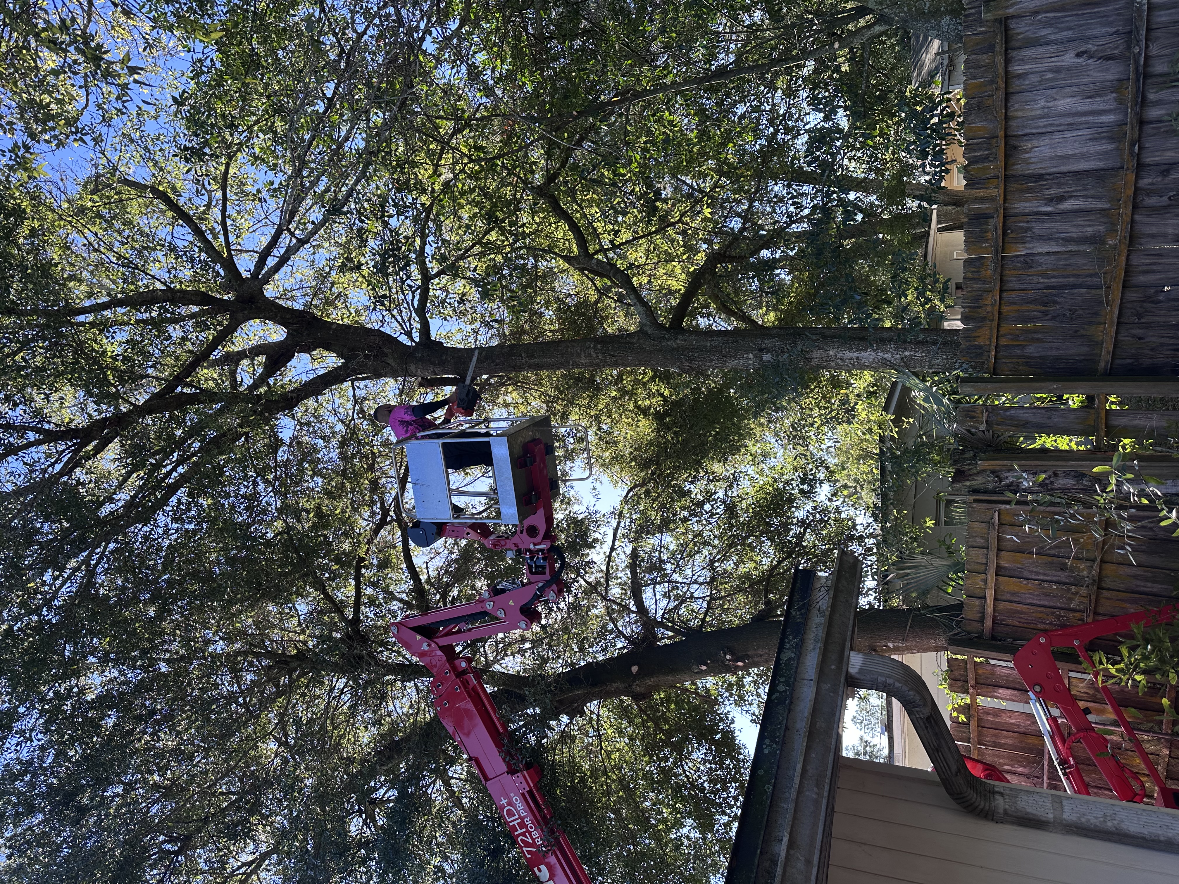  for Elite Tree & Landscape Services LLC in St. Augustine, FL