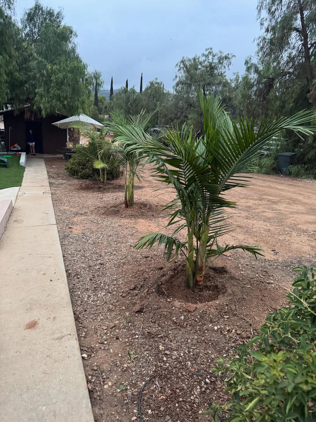  for Herreras Land Service in San Diego, CA