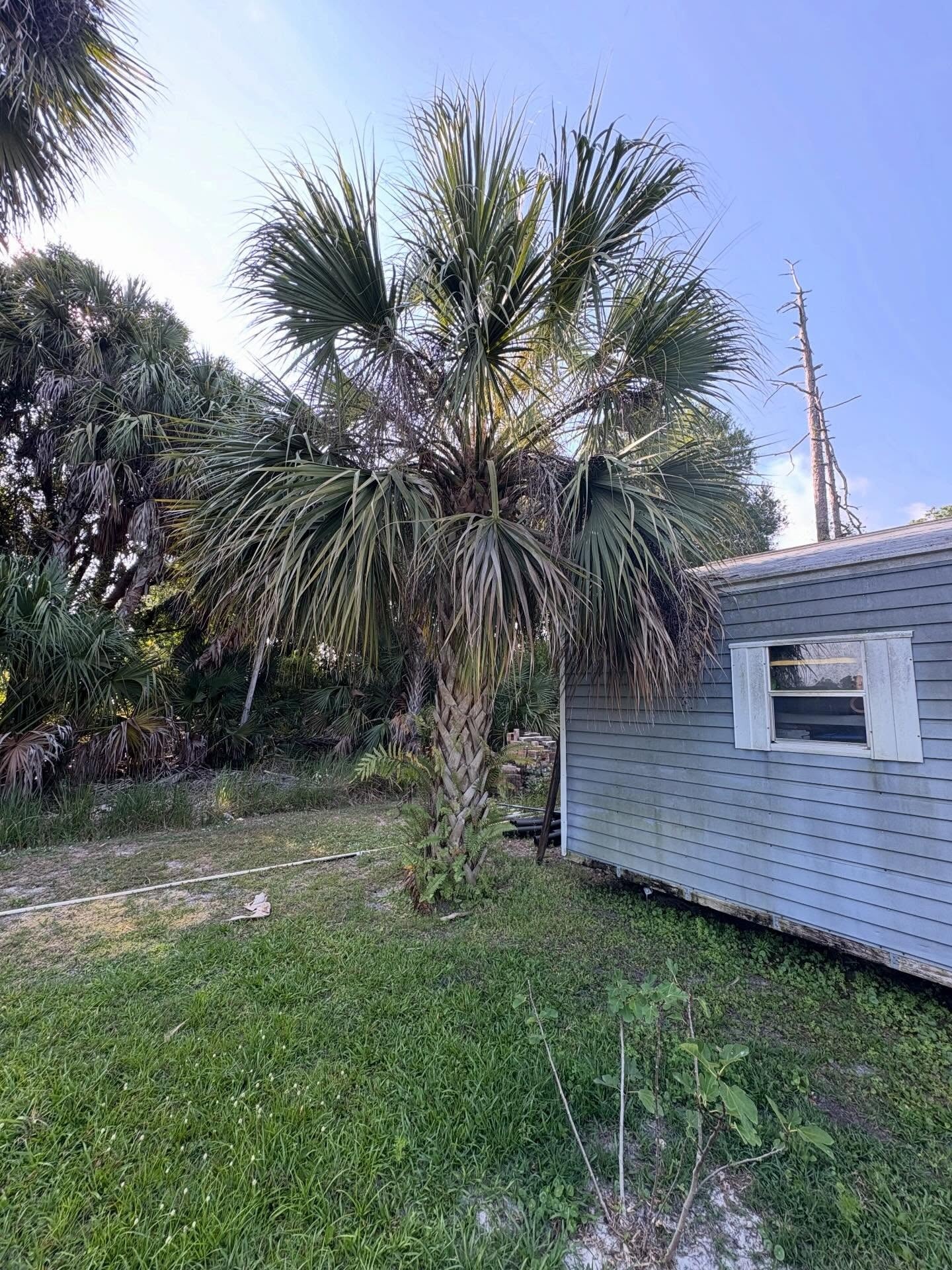  for R&R GreenWorks in North Port, FL