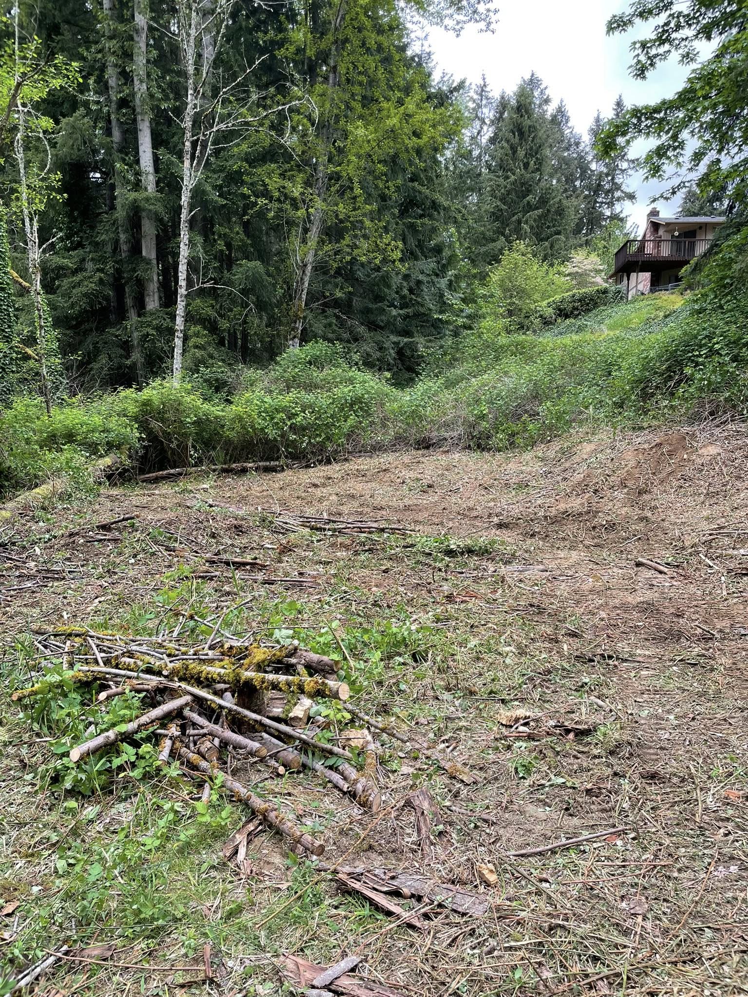  for Wilderness Stump Grinding in Orting, WA
