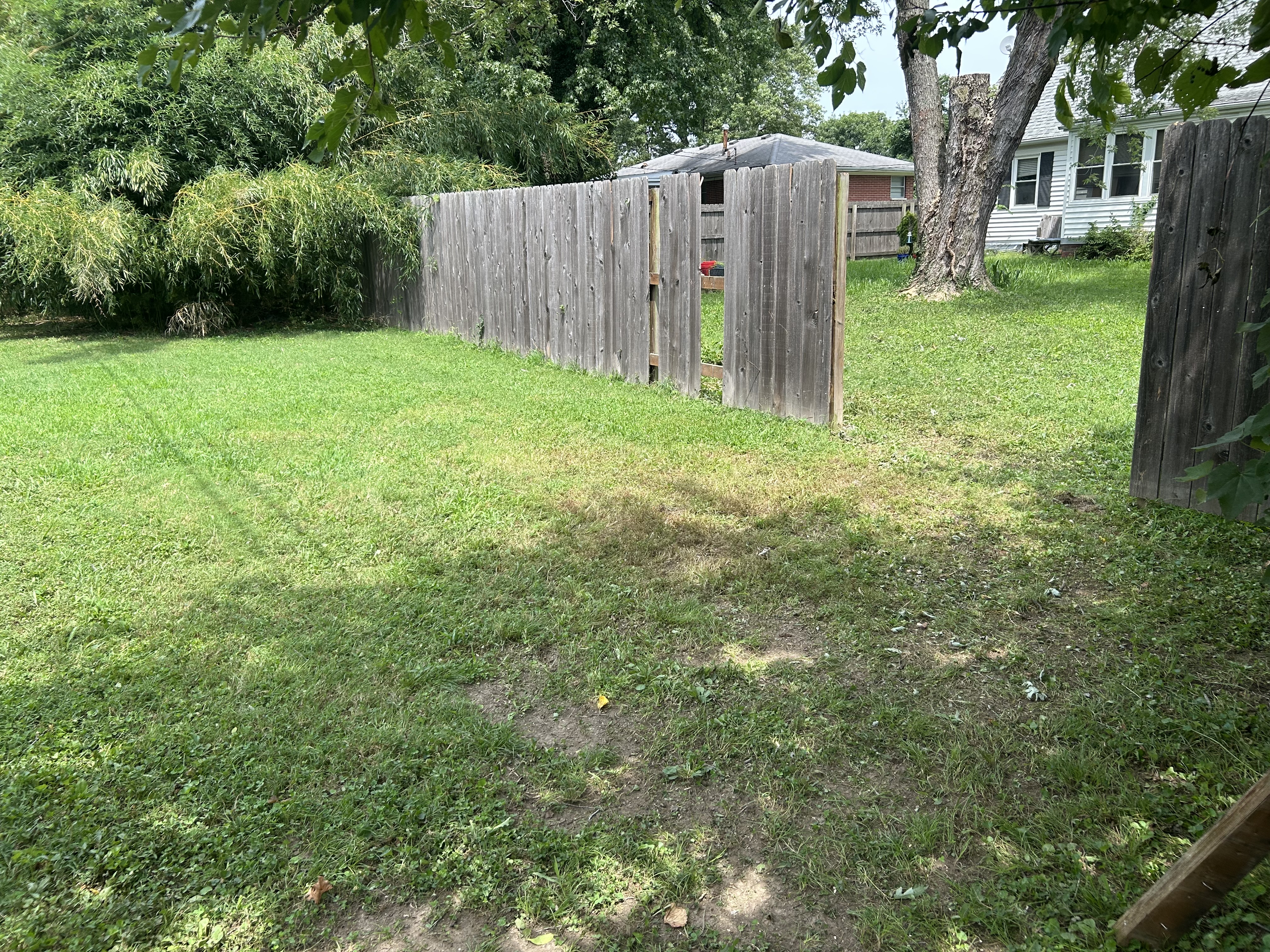 for Stinger Tree Service in Belleville, IL