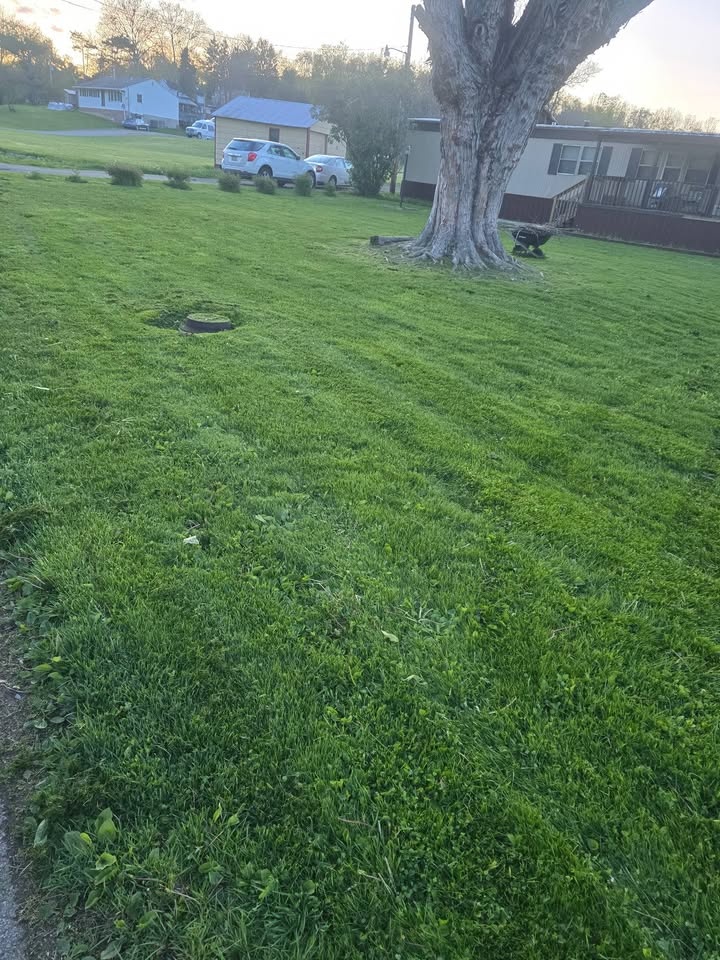 for Hope House Lawn & Landscaping PLUS in Masontown, PA