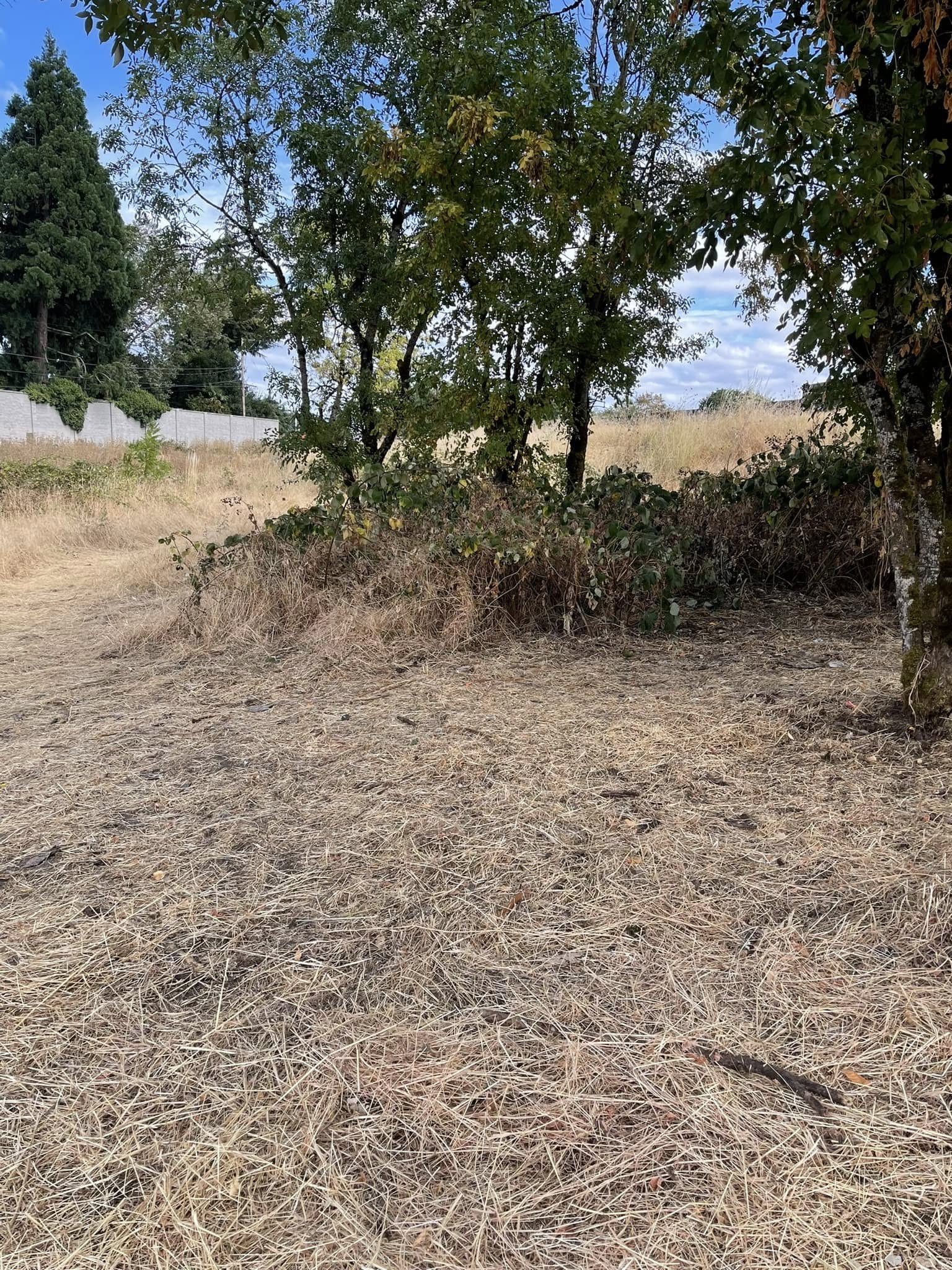  for JW&SON in Springfield, OR