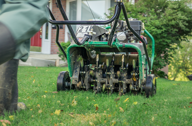  for Elite Lawn Care Solutions in Basehor, KS