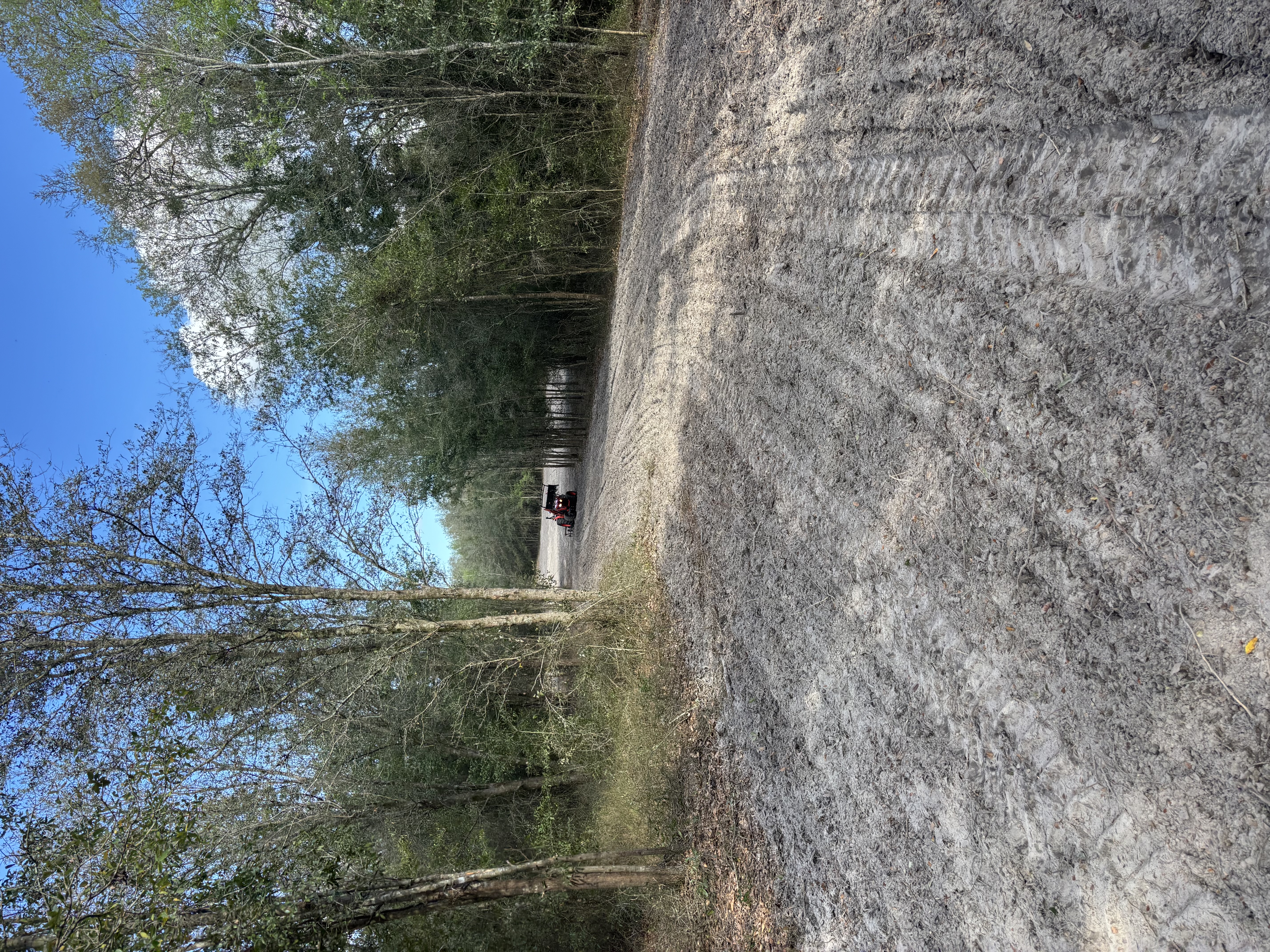  for Warners Tree Solutions in Live Oak, FL