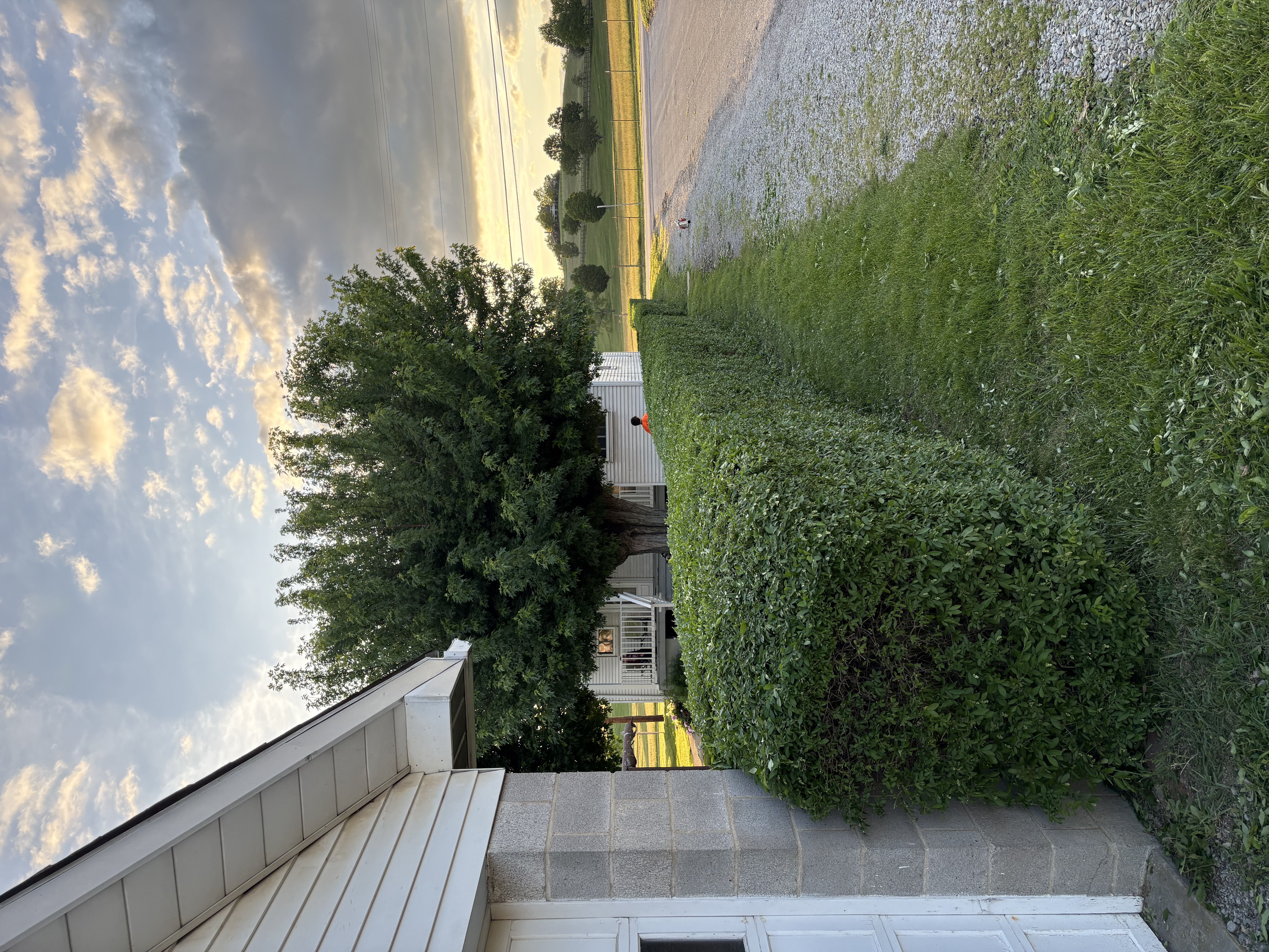  for Cam Yardz in Washington, PA