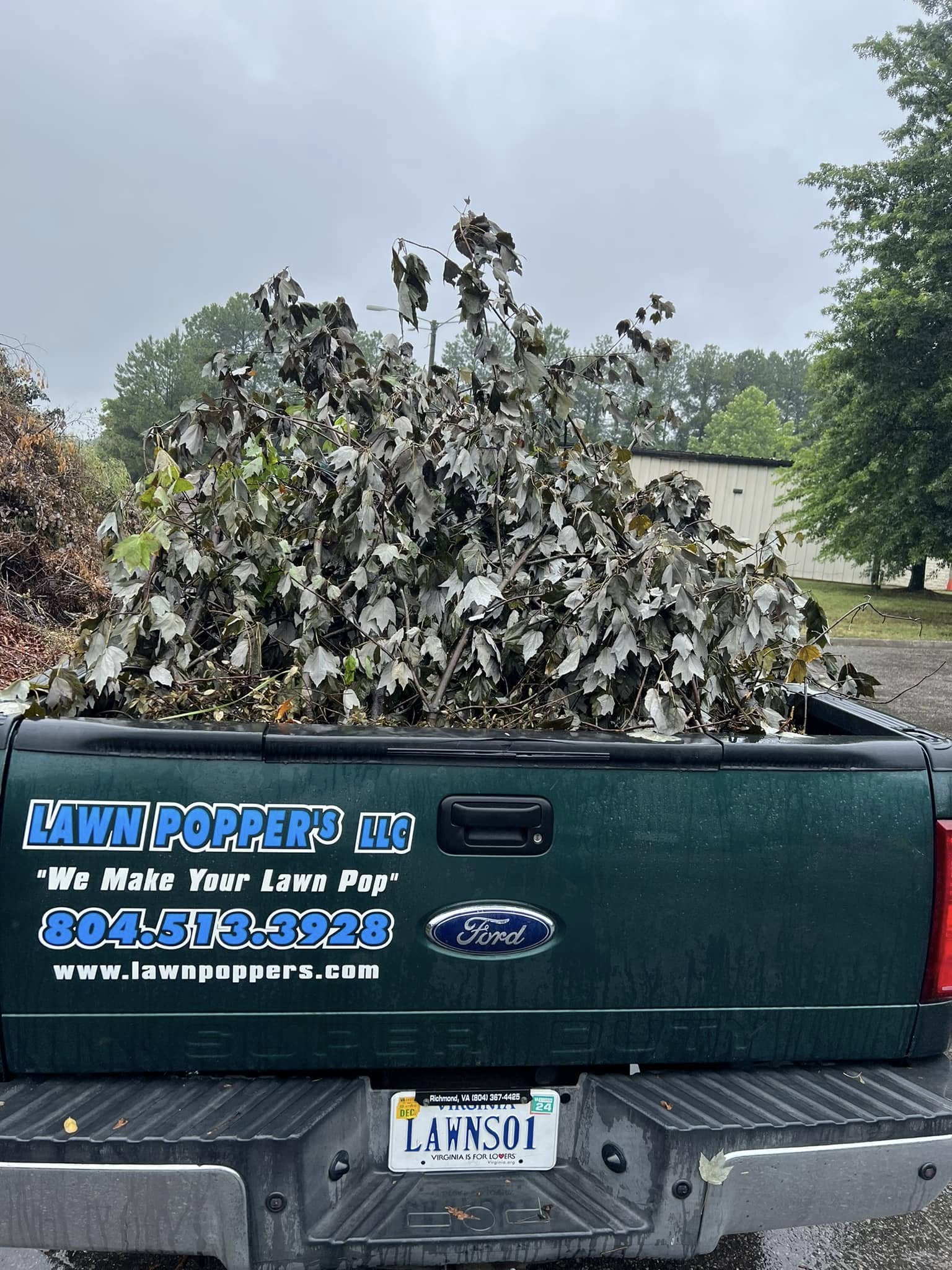  for Lawn Popper's, LLC in Richmond, VA