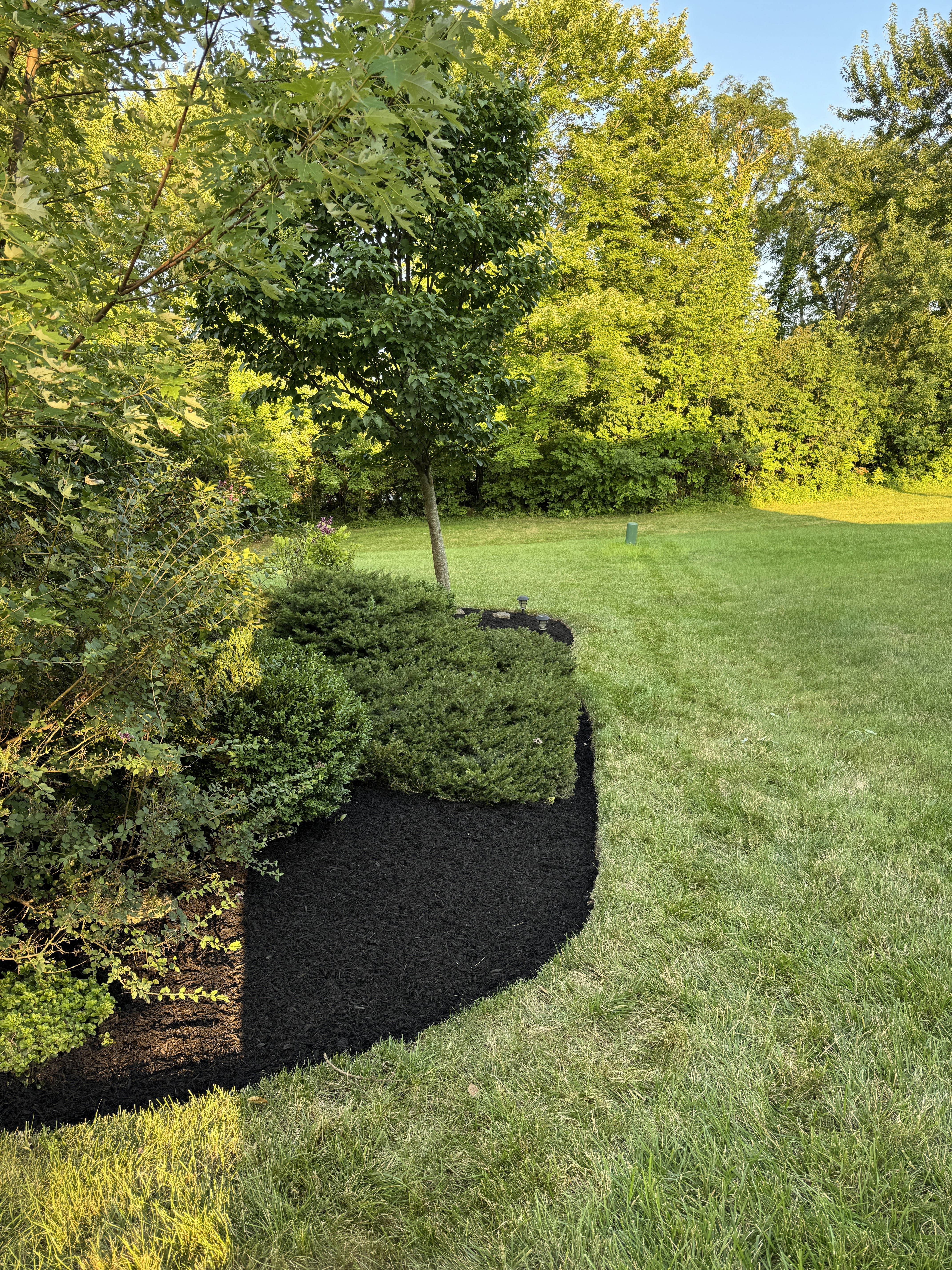  for Vasel's Landscaping Services in Medina, OH