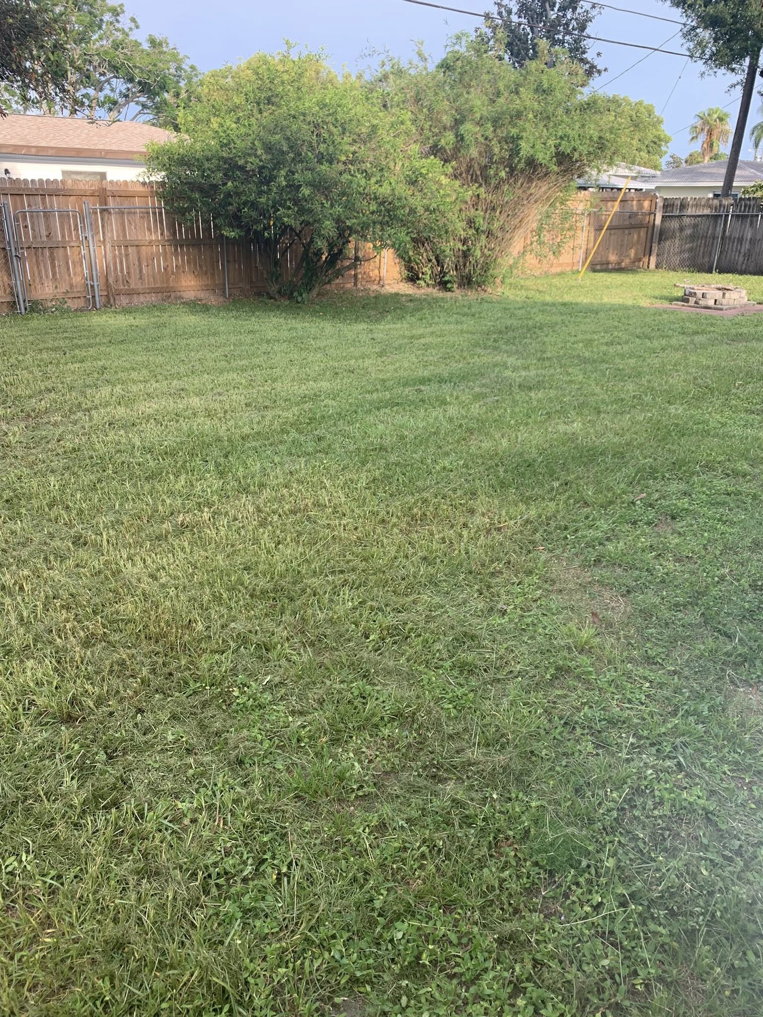  for Mitchell Lawn Service in Odessa, FL