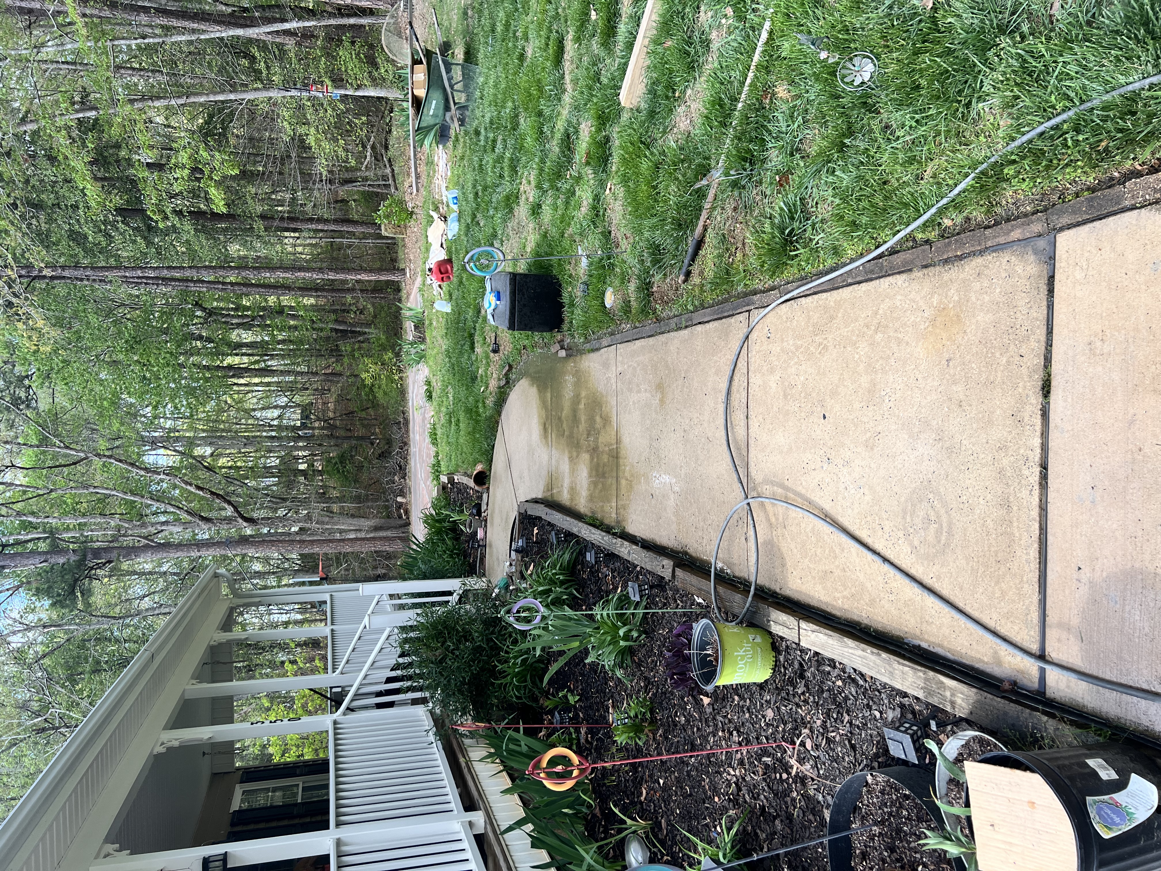  for Susan's Painting in Greensboro, NC