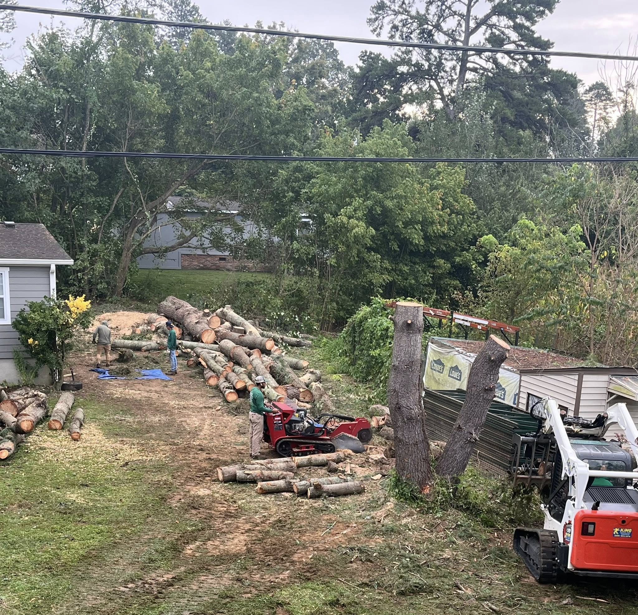  for Torres Tree Service and Landscaping in Hendersonville, NC